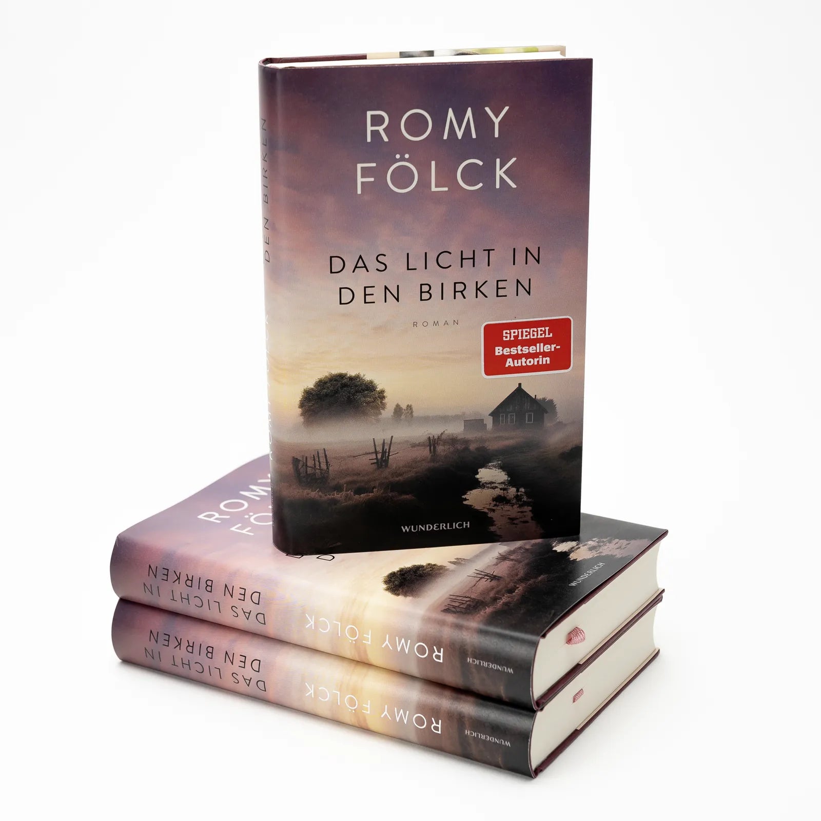 Produktansicht: Das Licht in den Birken (Gebundene Ausgabe)
