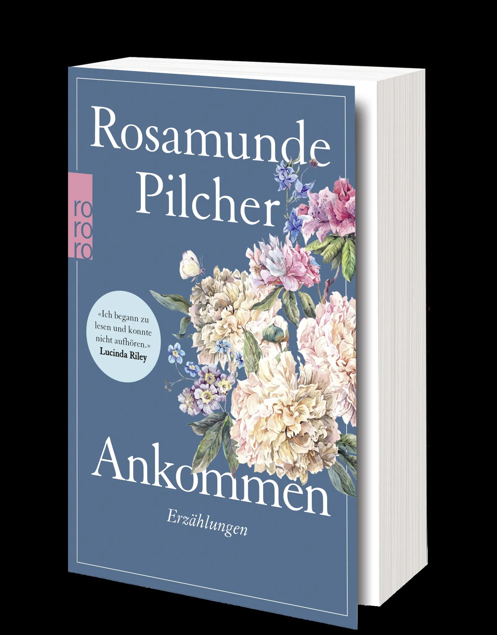 Produktansicht: Ankommen (Taschenbuch)
