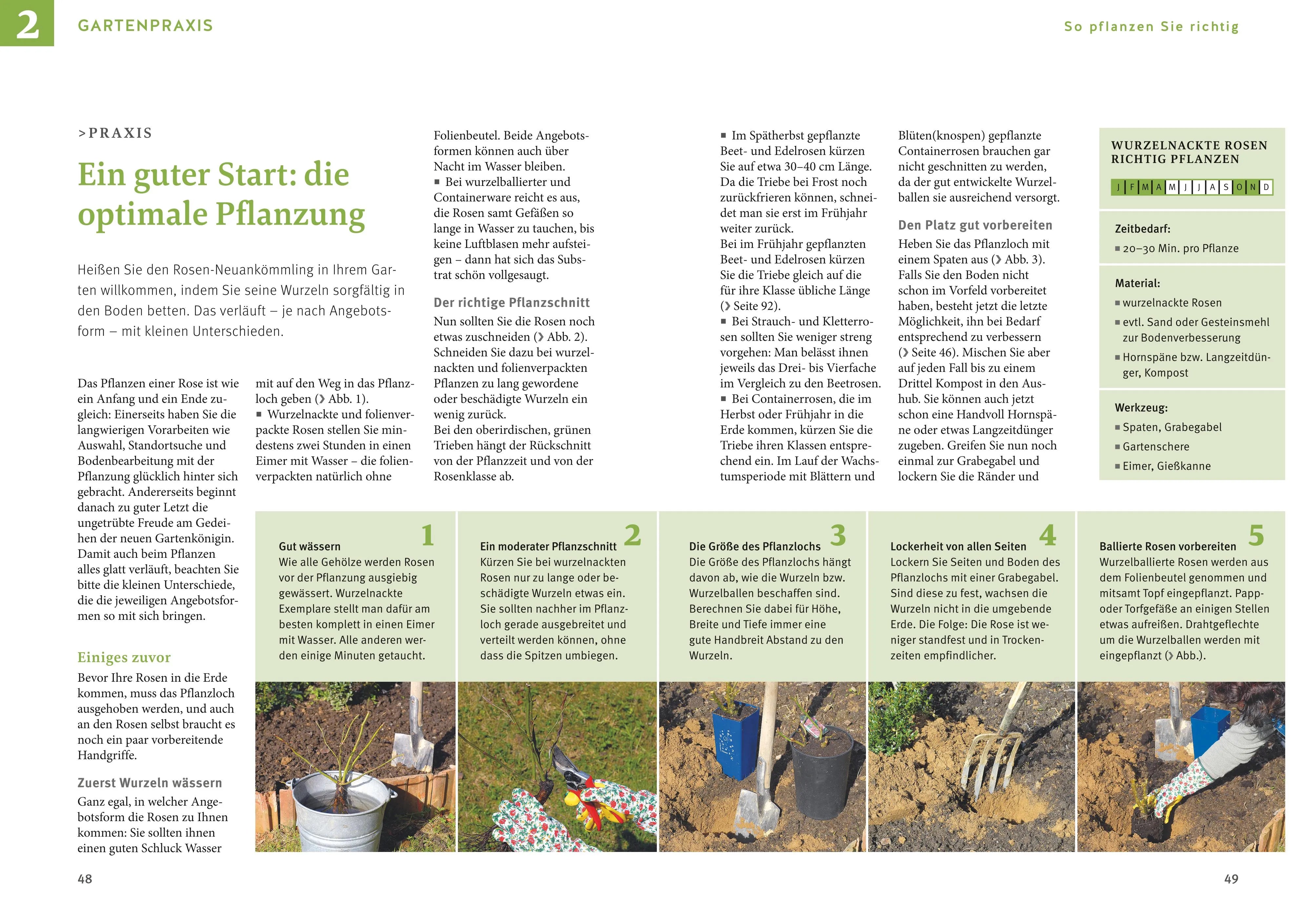 Produktansicht: Rosen pflegen (Gebundene Ausgabe)