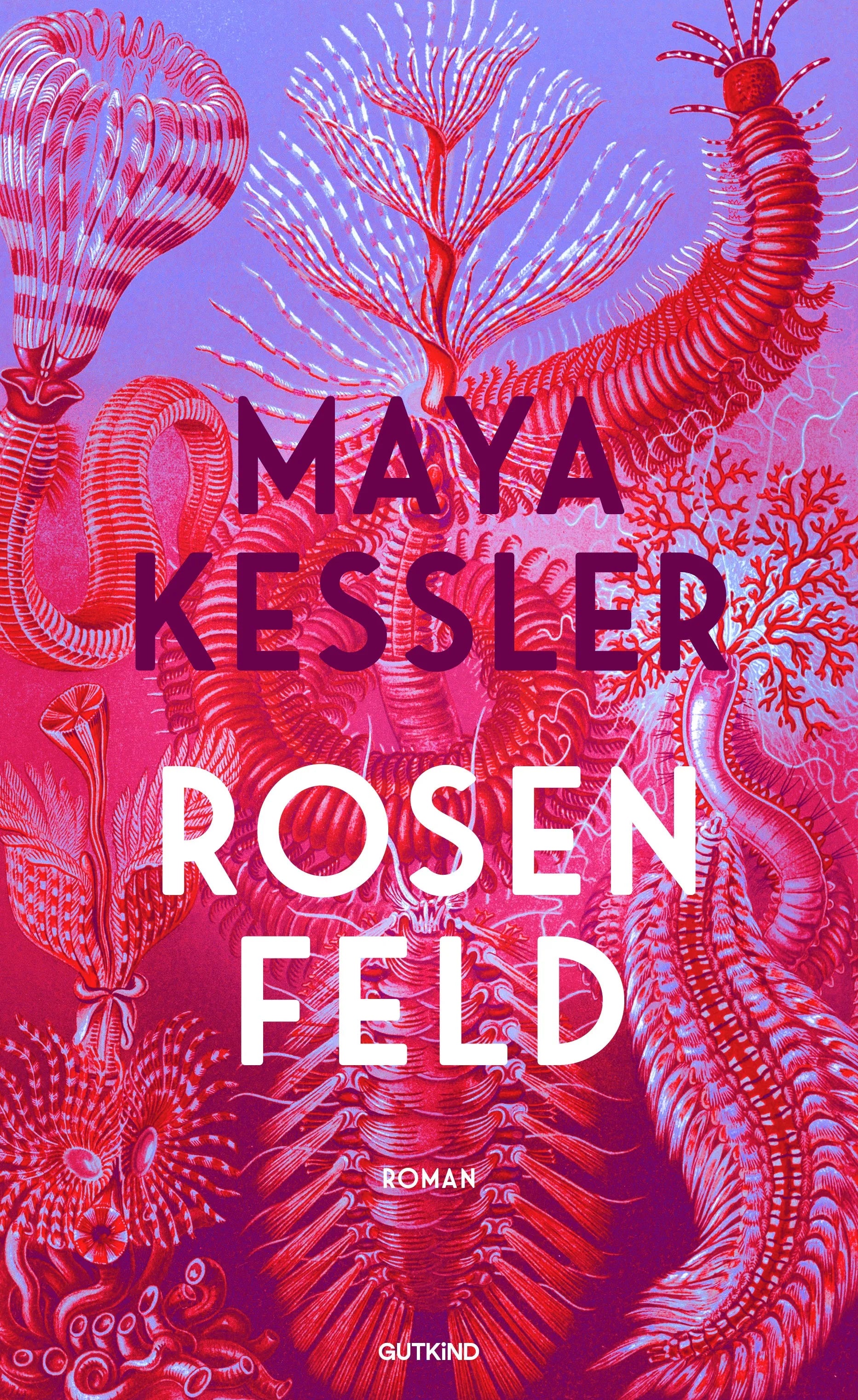 Buchcover von 'Rosenfeld' - Gebundene Ausgabe von Maya Kessler