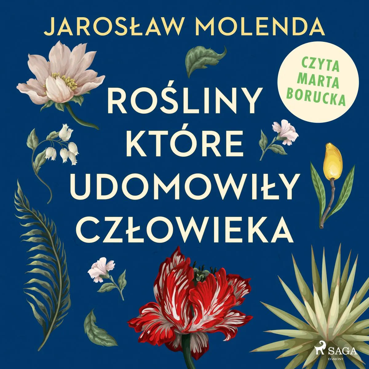 Cover: Rośliny, które udomowiły człowieka (Hörbuch Download) von Jaroslaw Molenda