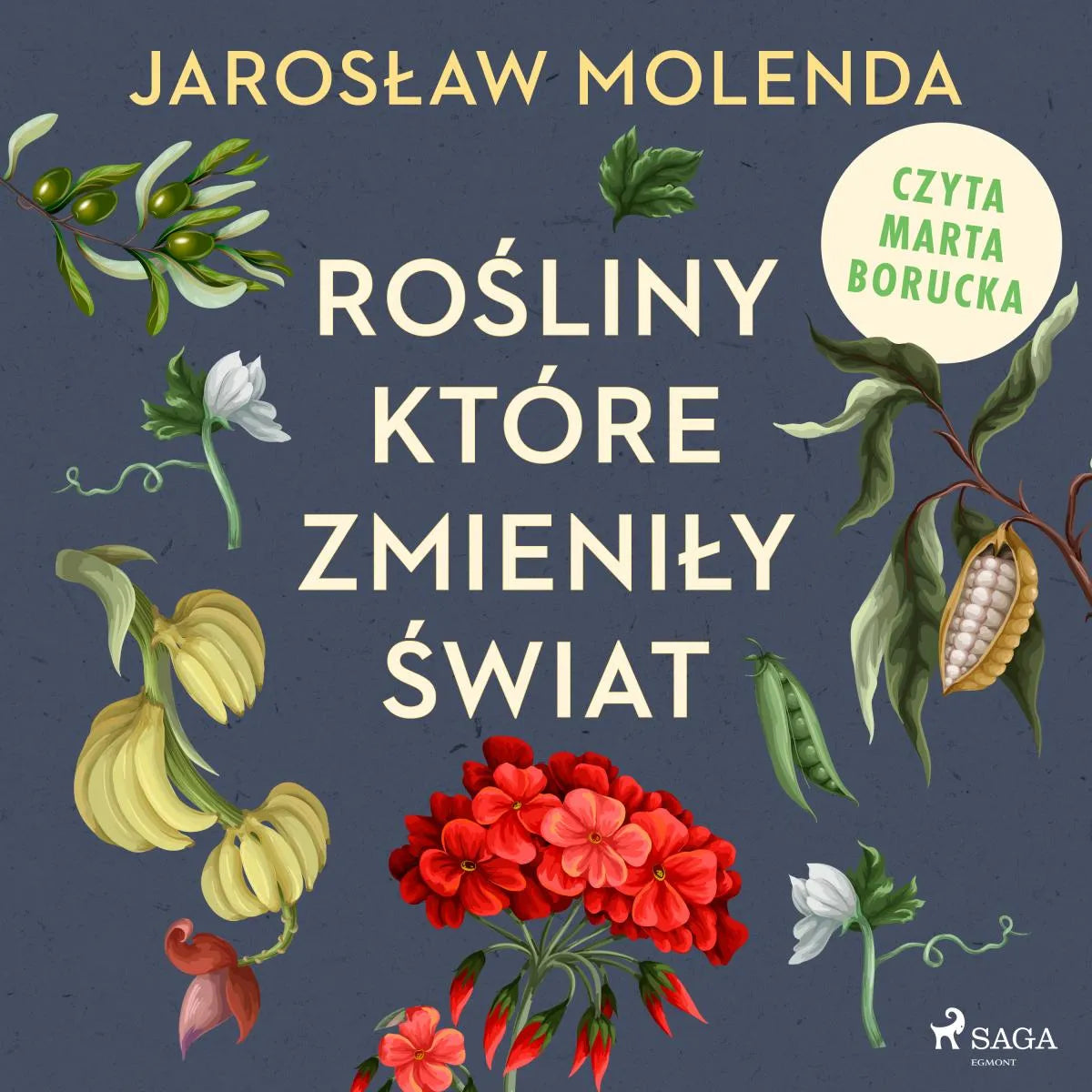 Cover: Rośliny, które zmieniły świat (Hörbuch Download) von Jaroslaw Molenda