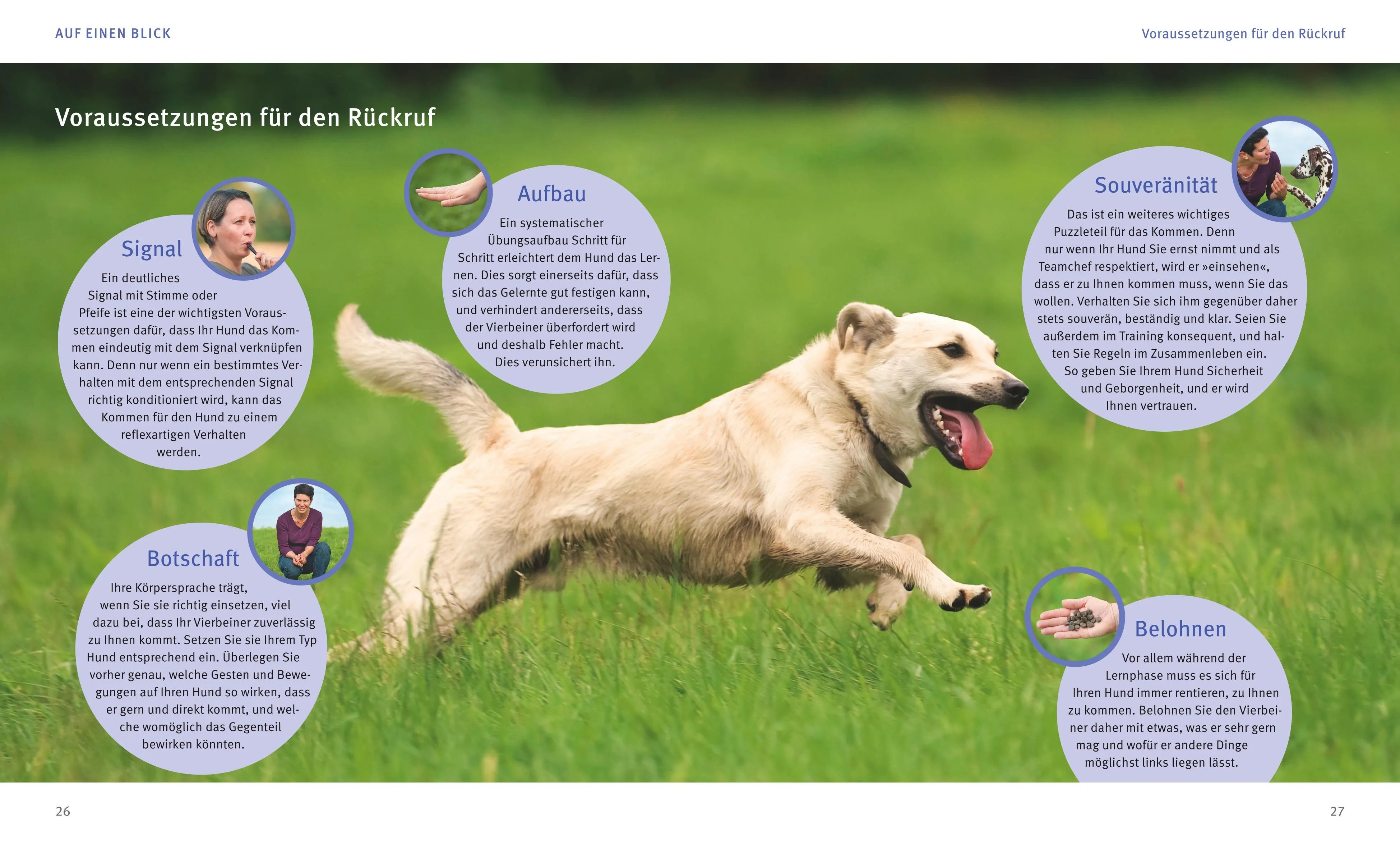 Abbildung von 'Rückruf-Training für Hunde'