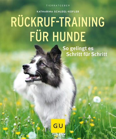 Rückruftraining für Hunde