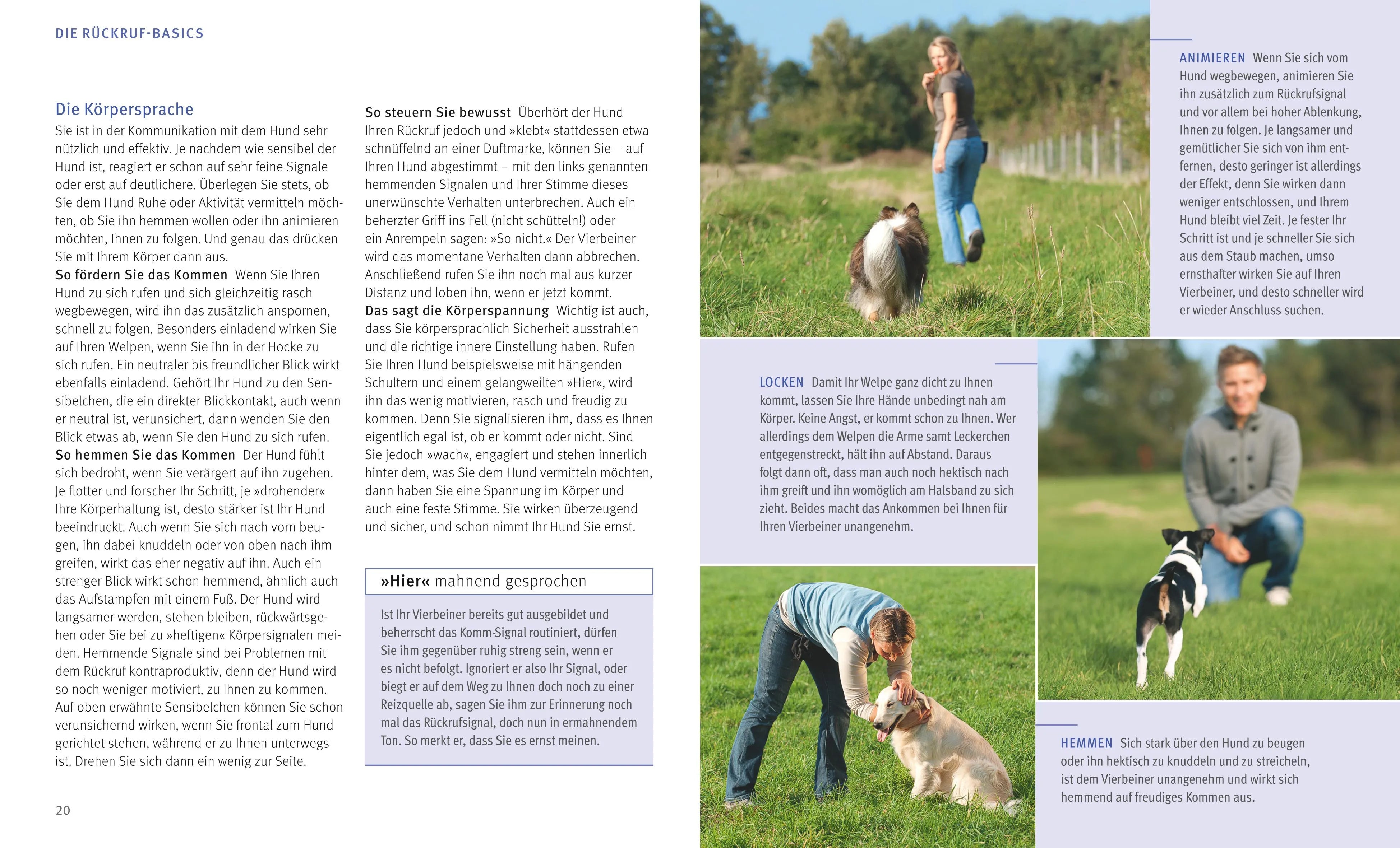 Produktansicht: Rückruf-Training für Hunde (Taschenbuch)