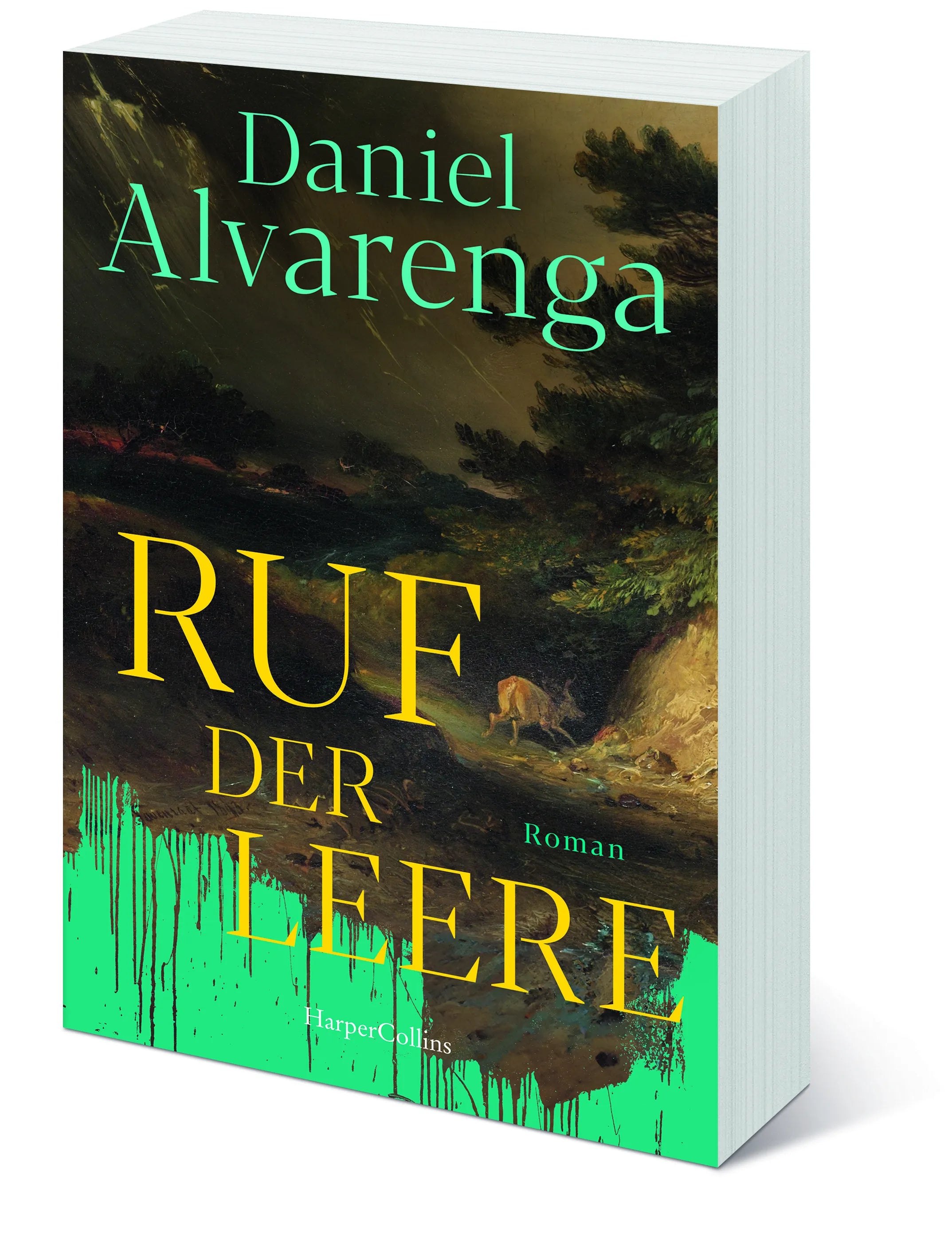 Daniel Alvarenga - Ruf der Leere