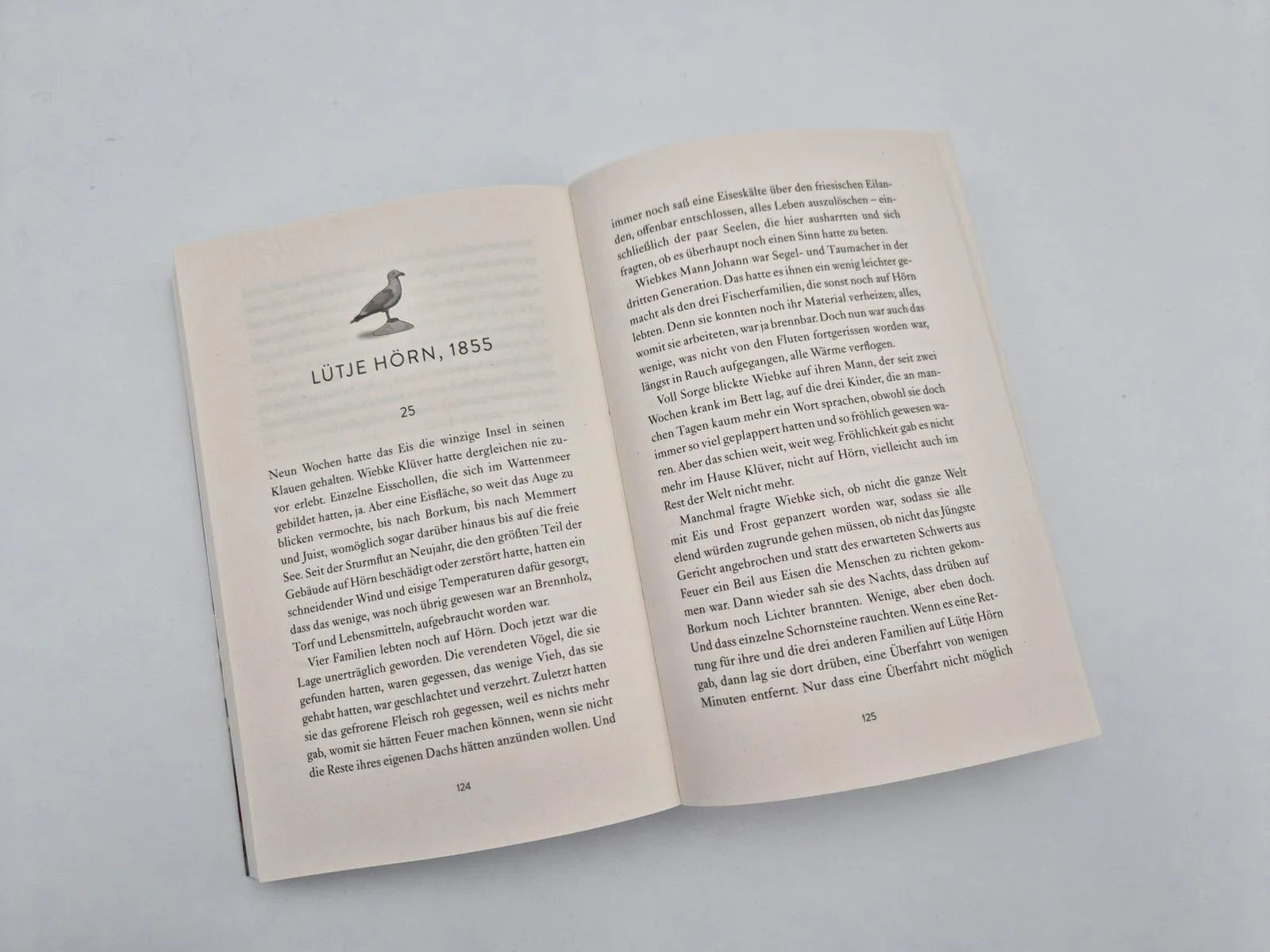 Detailansicht: Ruf der Wellen (Taschenbuch)