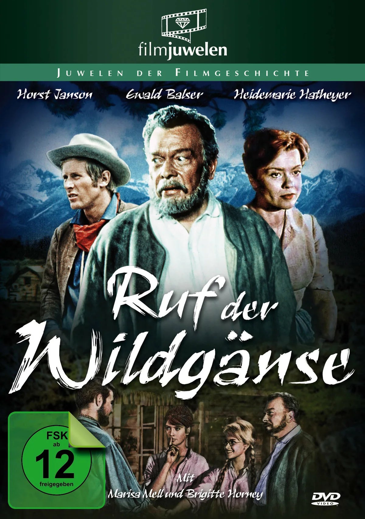 Ruf der Wildgänse - Via Mala in Kanadas Bergwelt - DVD