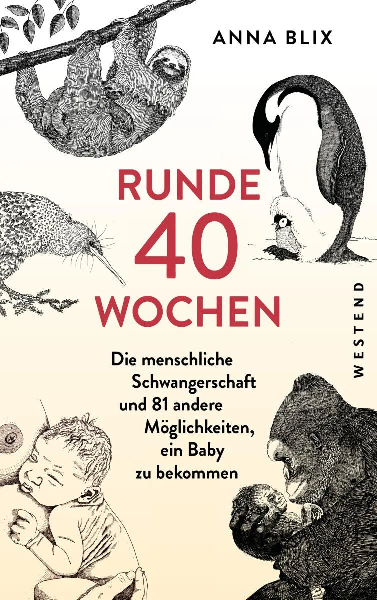 Cover: Runde 40 Wochen (E-Book) von Anna Blix