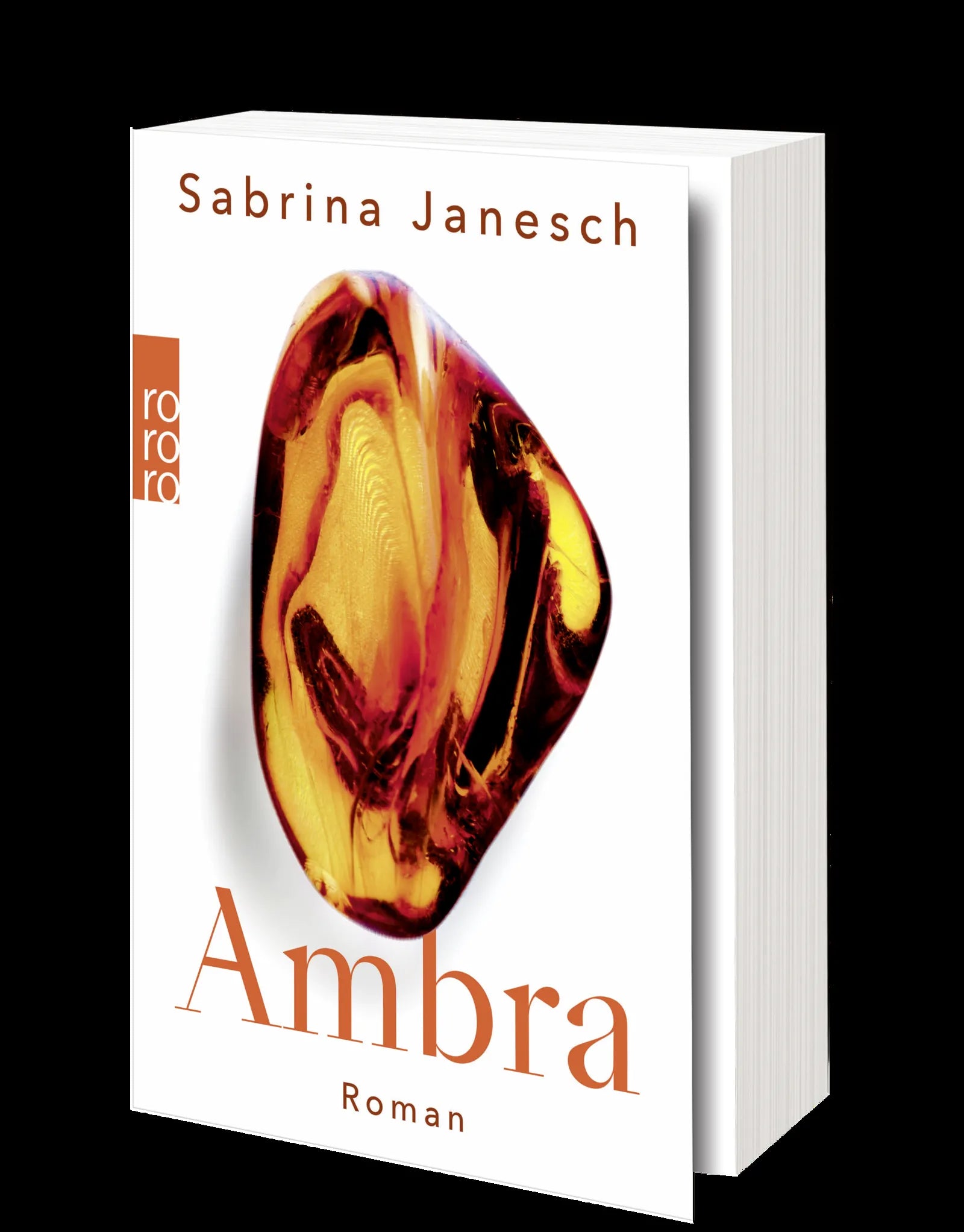 Produktansicht: Ambra (Taschenbuch)