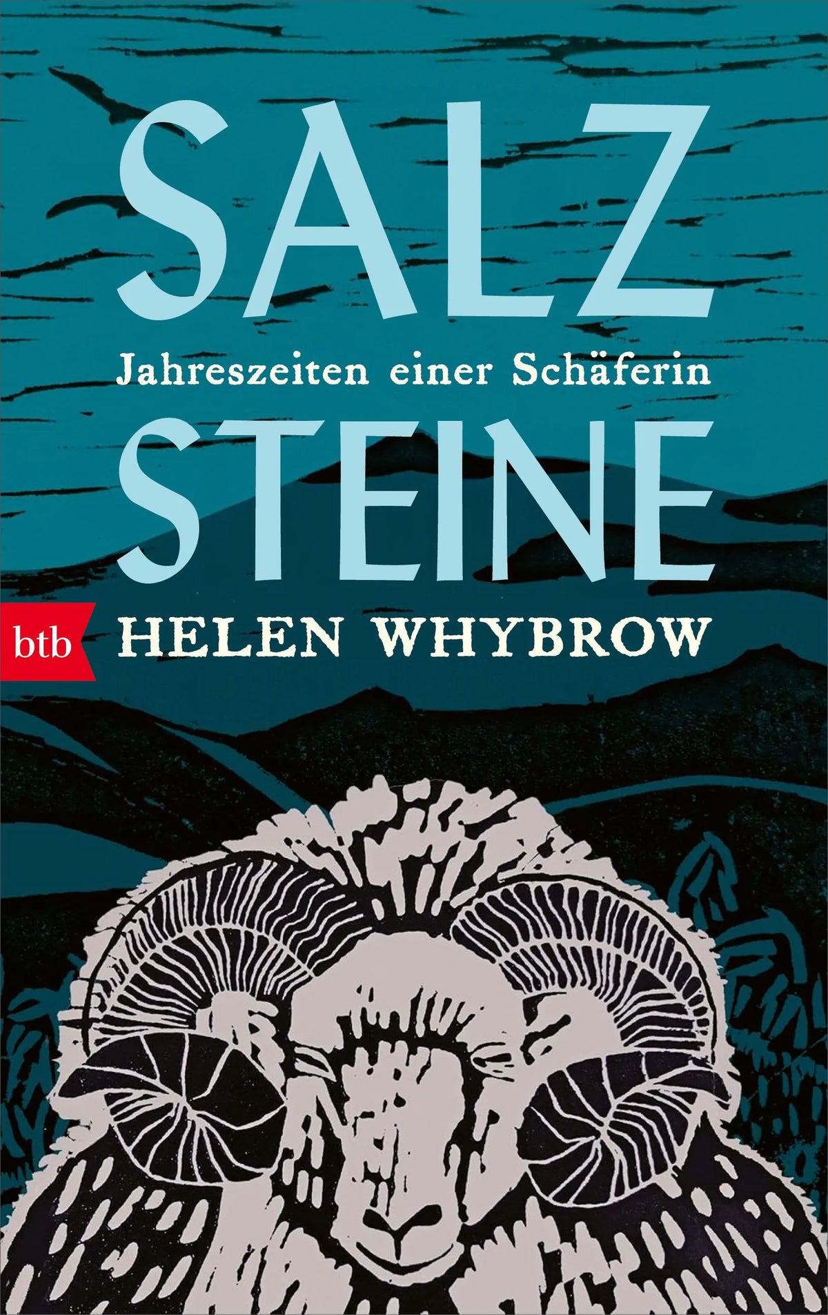 Cover: Salzsteine (Hardcover) von Helen Whybrow