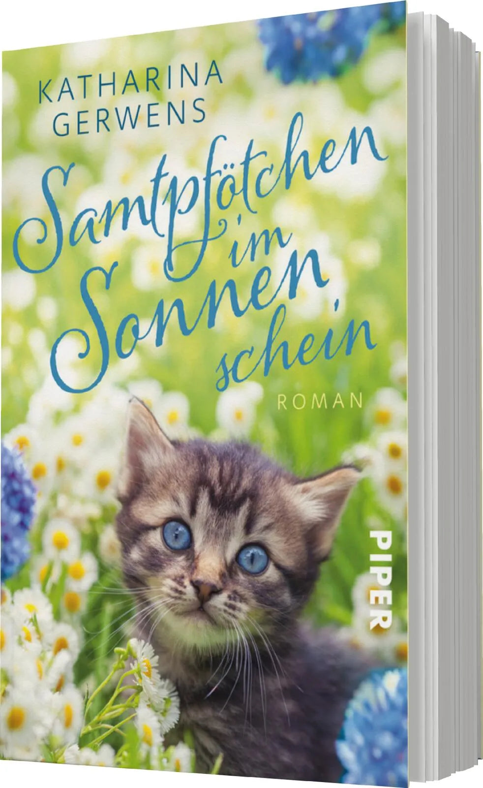 Katharina Gerwens - Samtpfötchen im Sonnenschein
