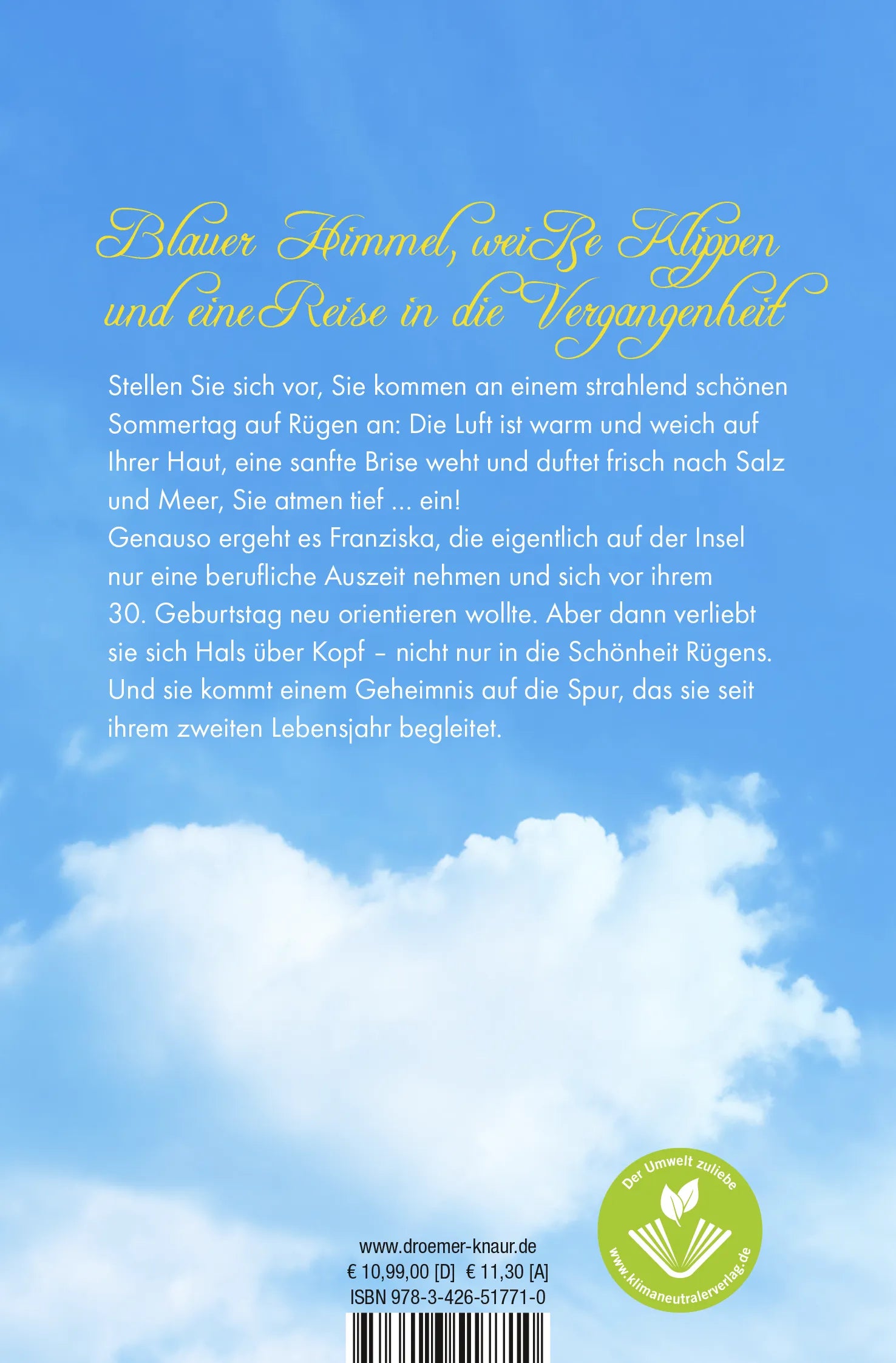 Buchrückseite von 'Sanddornsommer' mit Klappentext - Taschenbuch