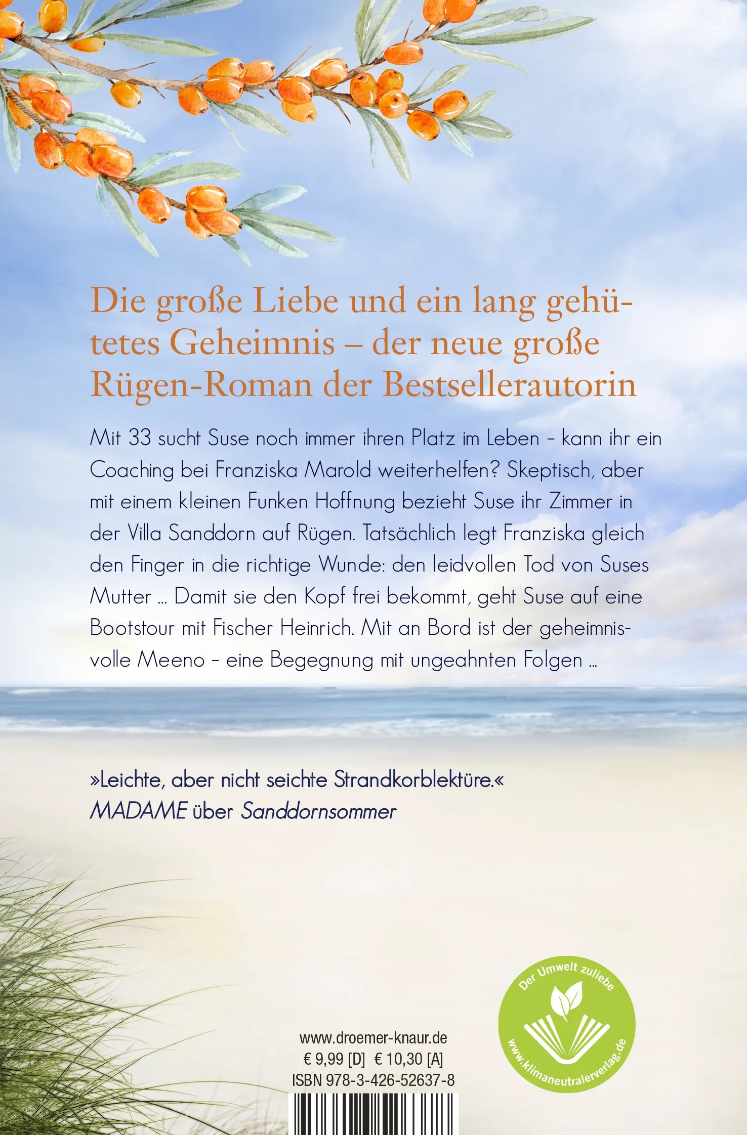 Buchrückseite von 'Sanddornzauber' mit Klappentext - Taschenbuch