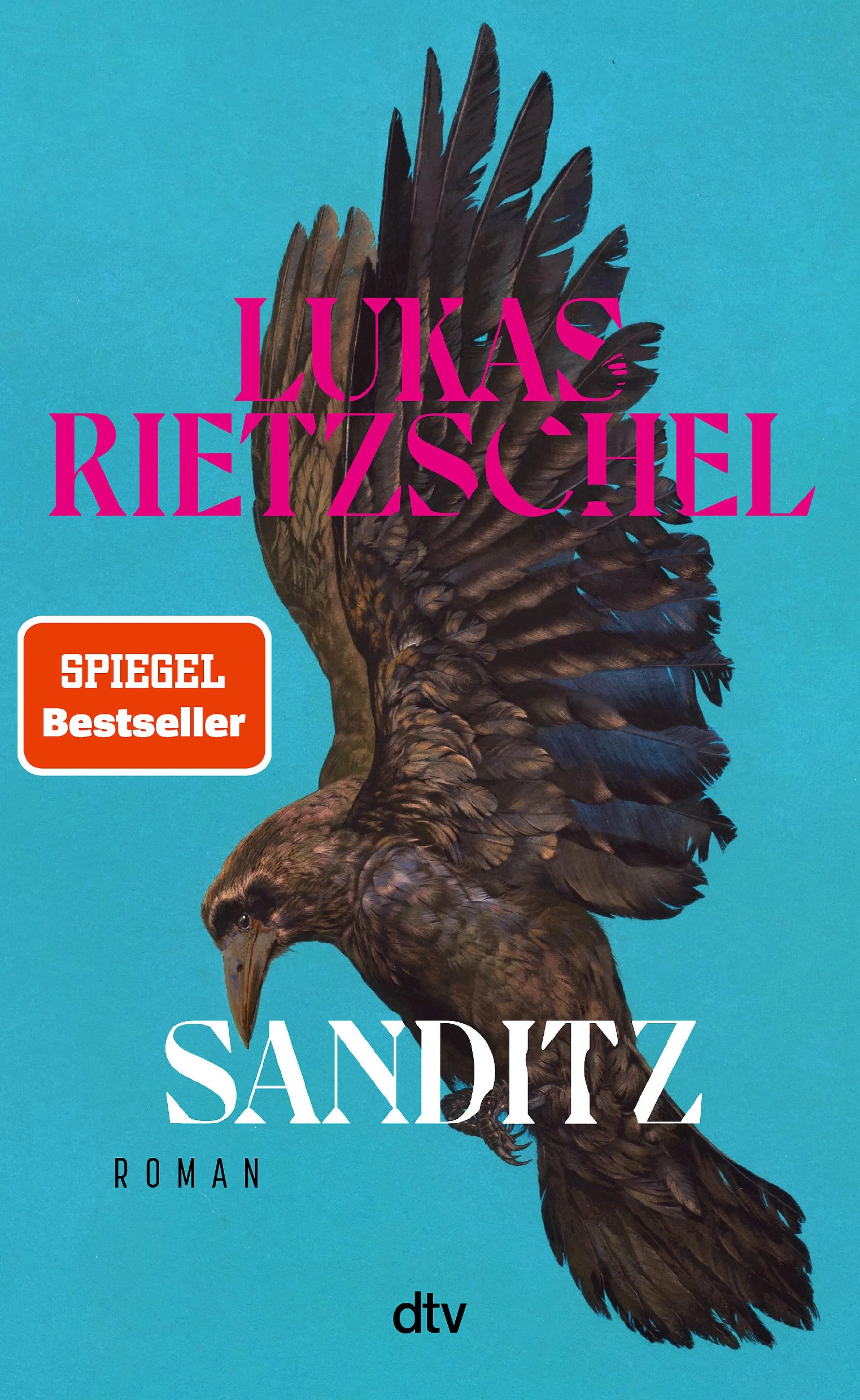 Cover: Sanditz (E-Book) von Lukas Rietzschel