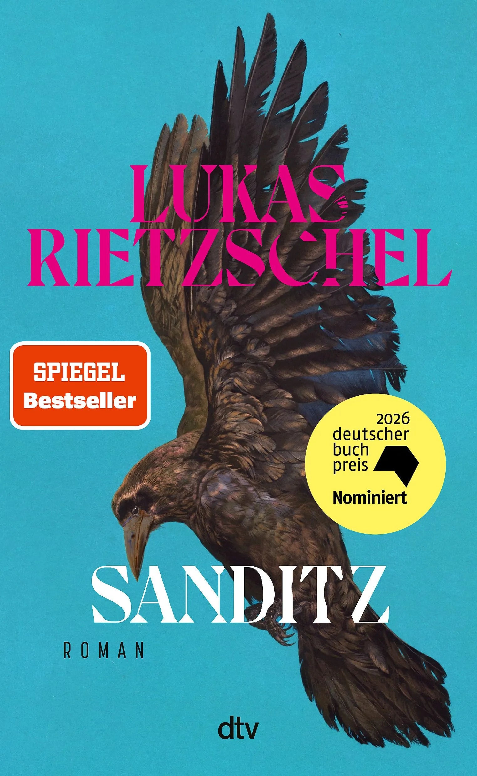 Cover: Sanditz (Hardcover) von Lukas Rietzschel