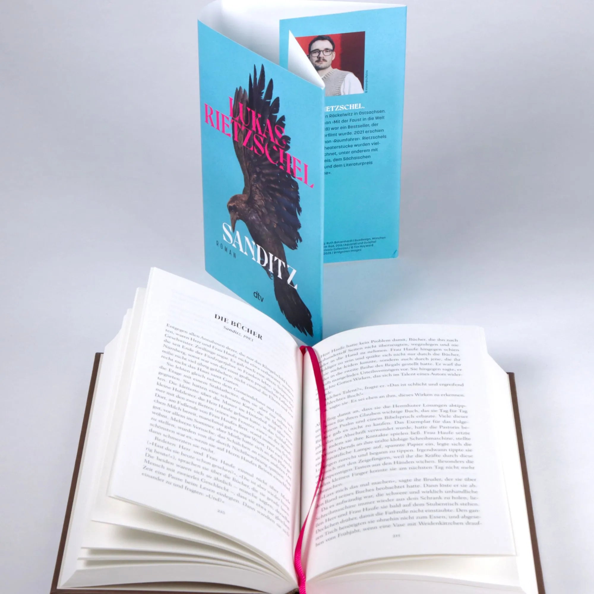 Detailansicht: Sanditz (Hardcover)
