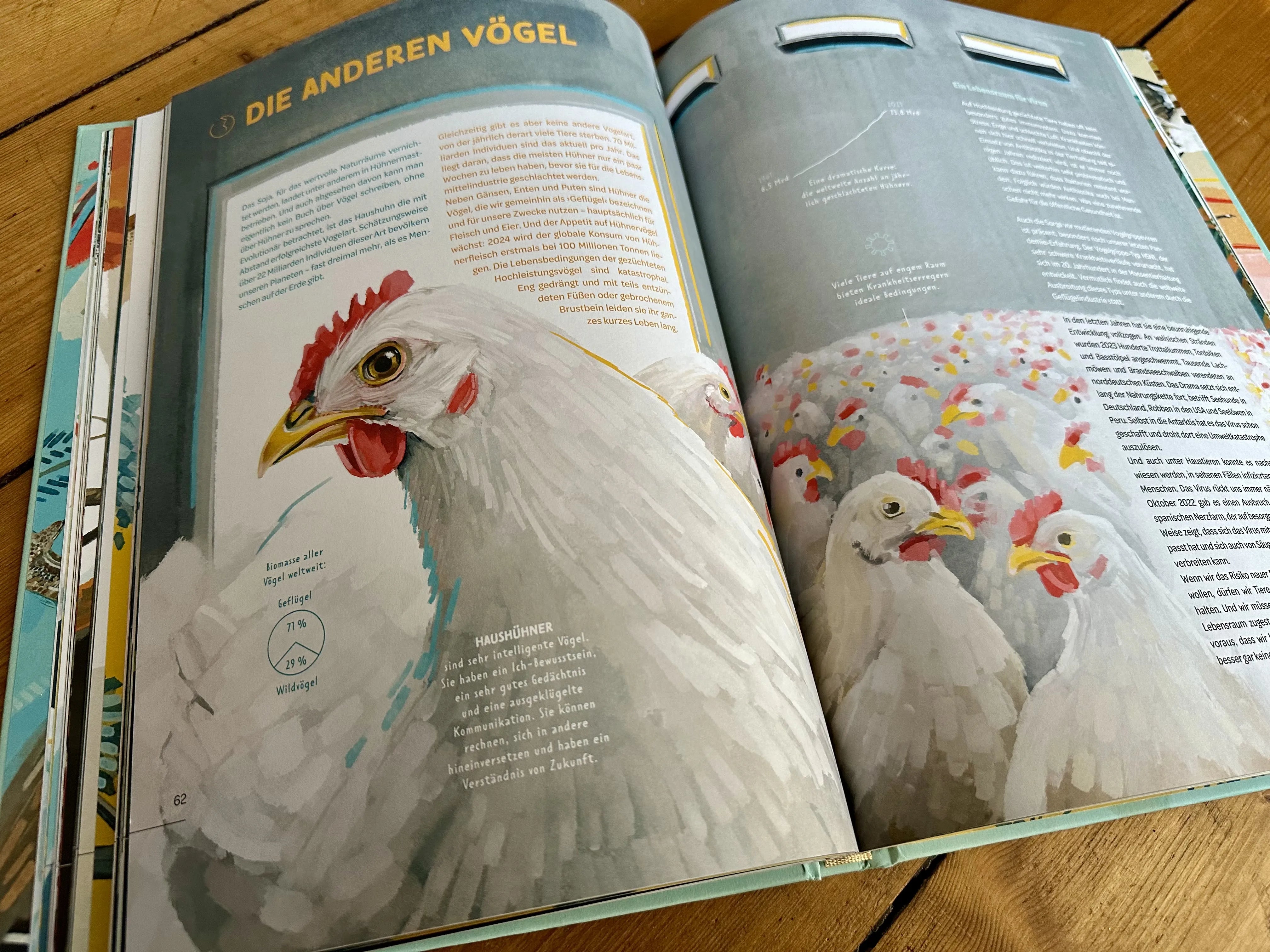 Produktansicht: Die Welt in einer Eierschale (Gebundene Ausgabe)