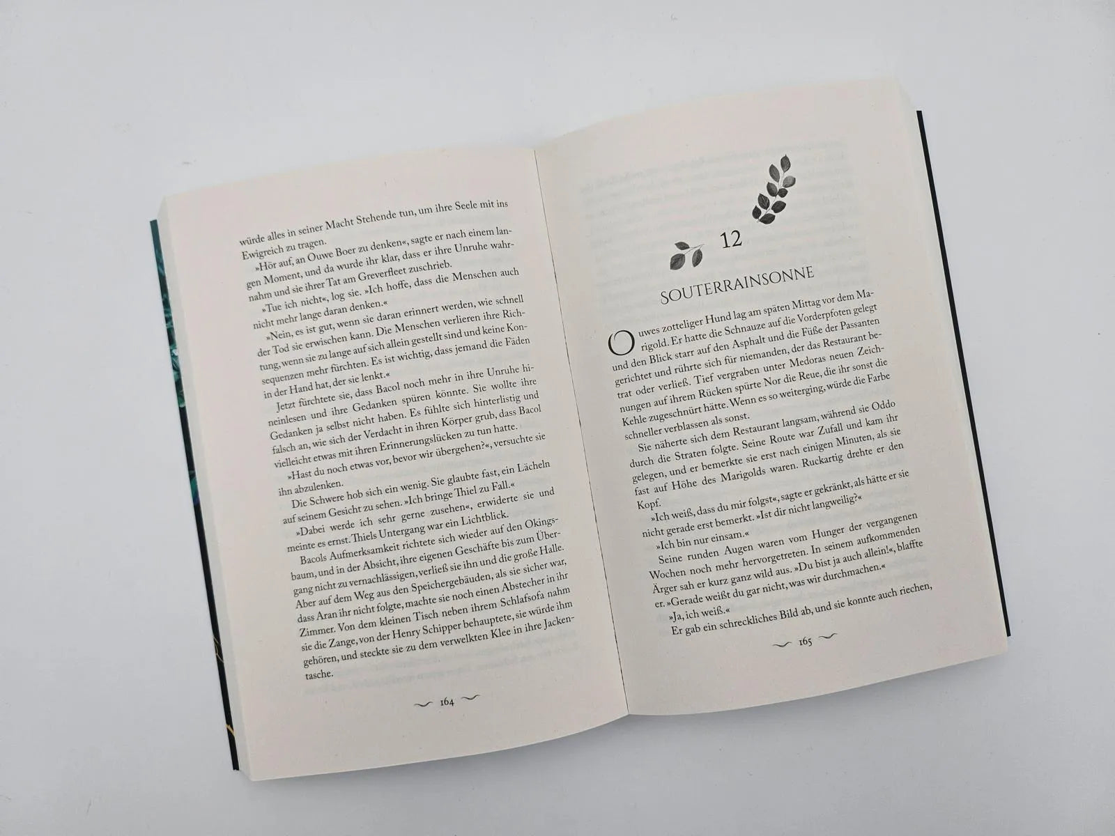 Produktansicht: Herz aus Moos und Schatten (Paperback)