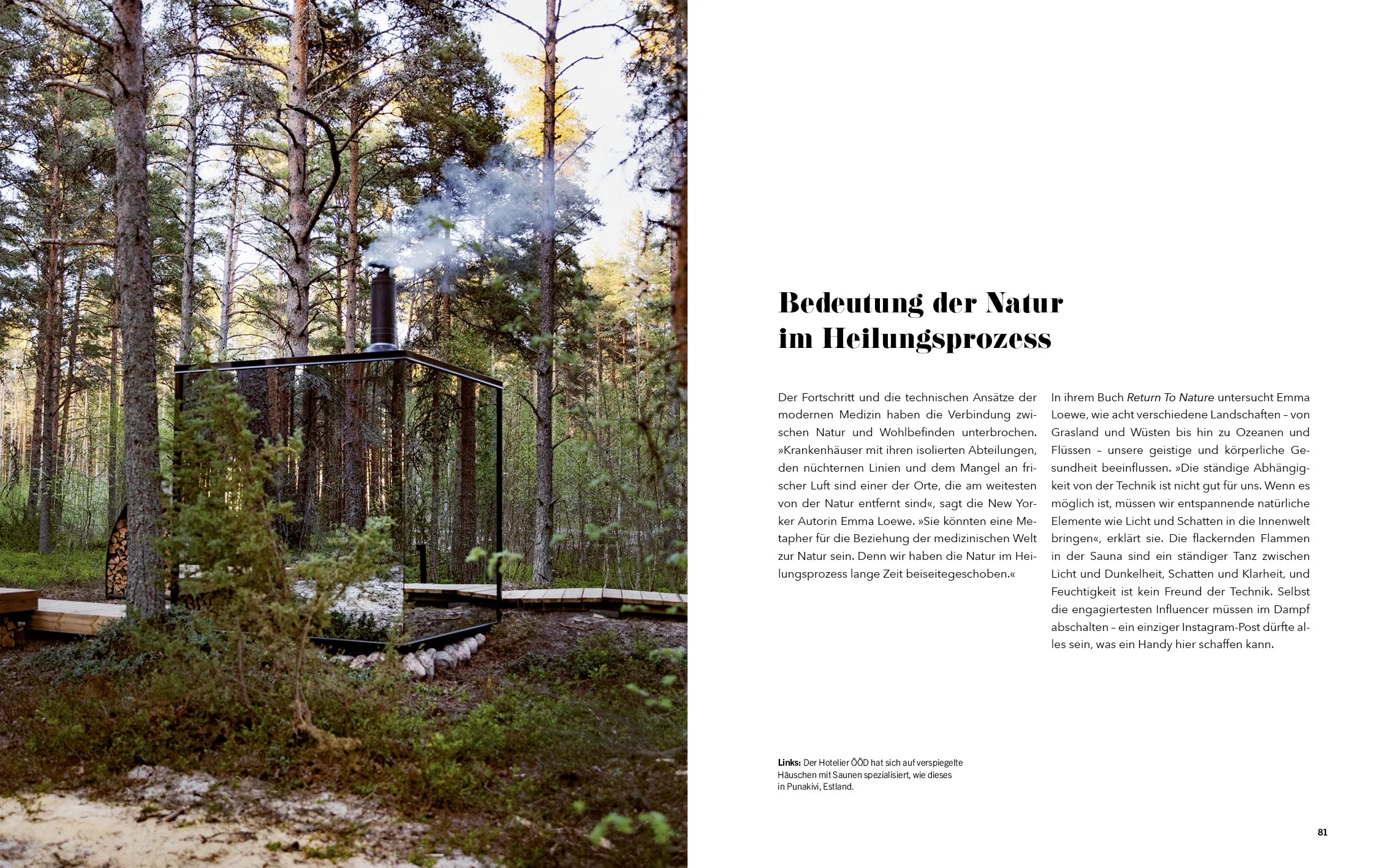Innenansicht von 'Sauna' - Gebundene Ausgabe