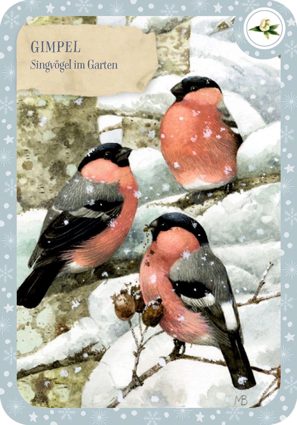 Schachtelspiel – Zauberhafte Vogelwelt – Ansicht