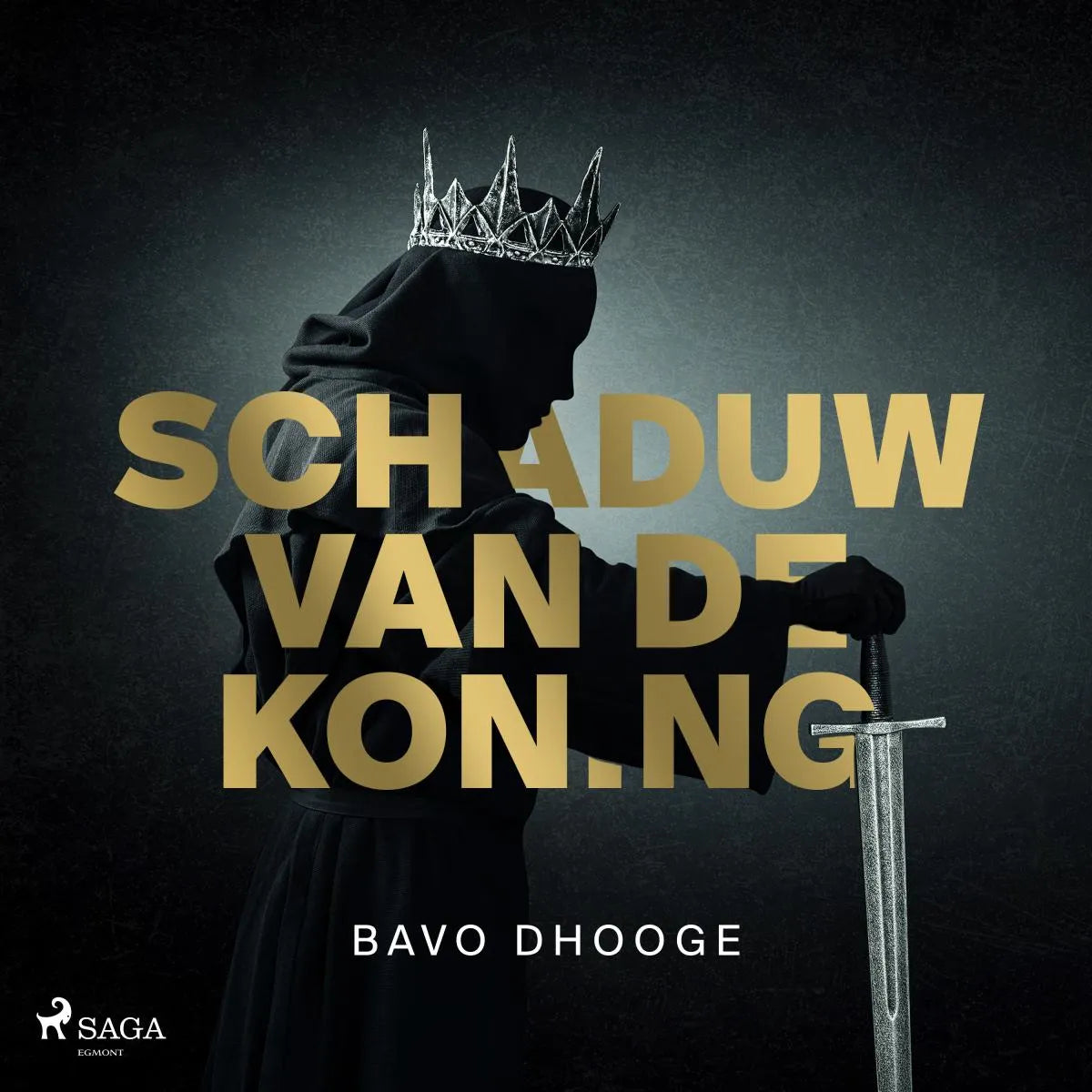 Cover: Schaduw van de koning (Hörbuch Download) von Bavo Dhooge