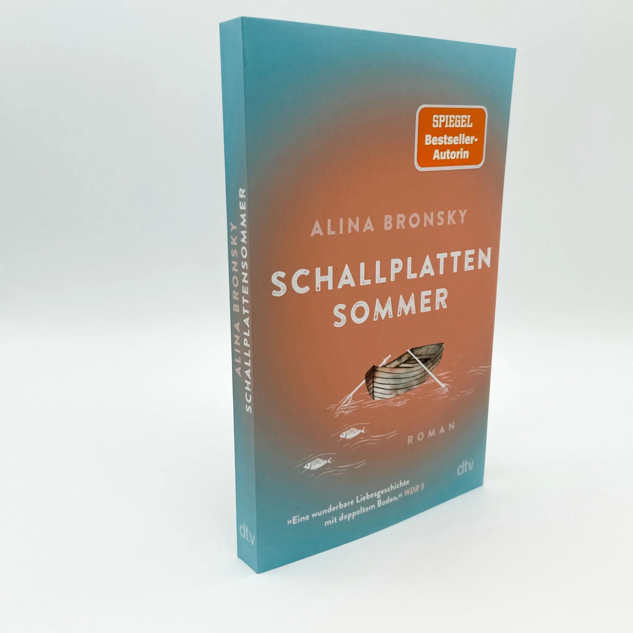 Produktansicht: Schallplattensommer (Taschenbuch)