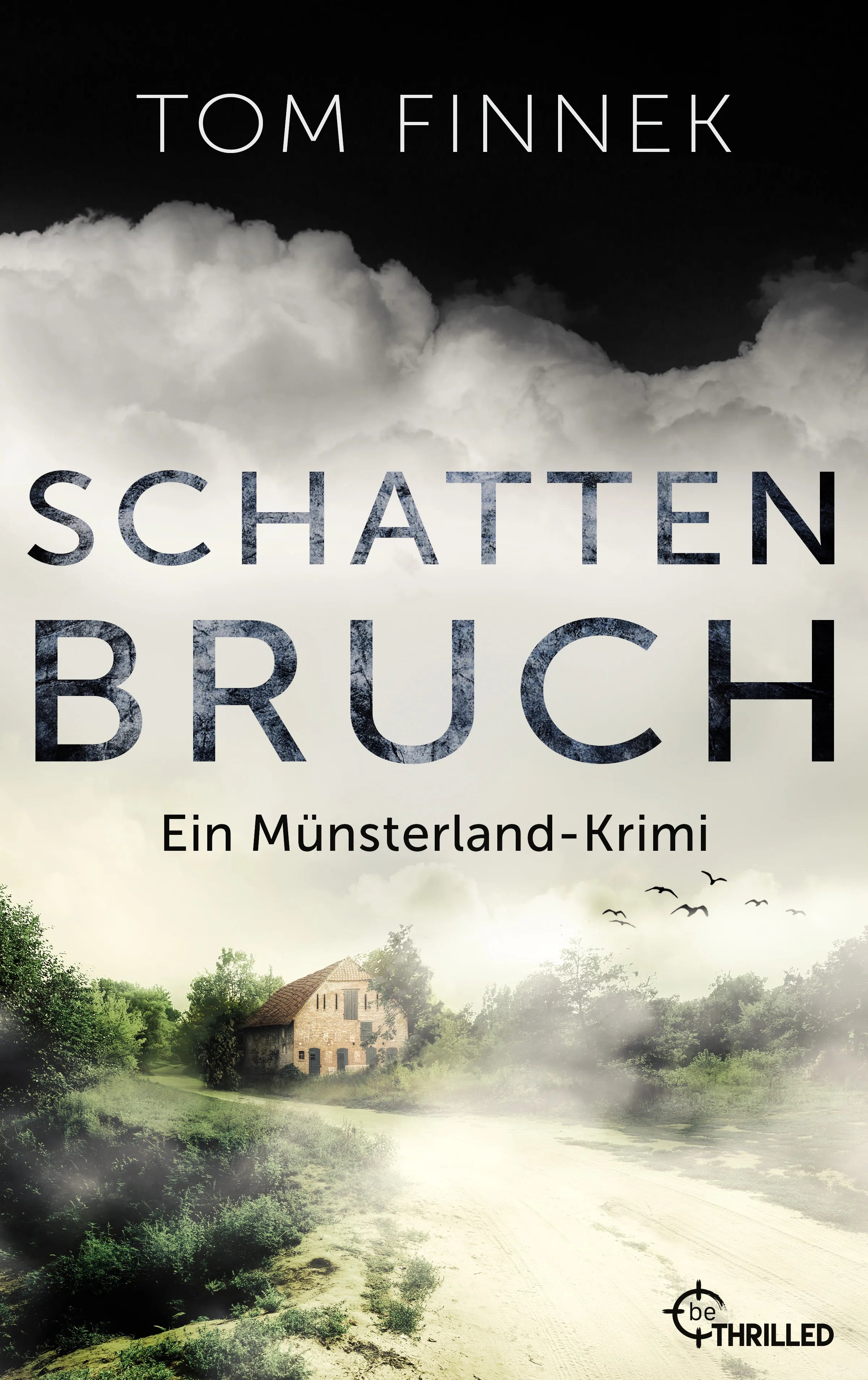 Cover: Schattenbruch (E-Book) von Tom Finnek