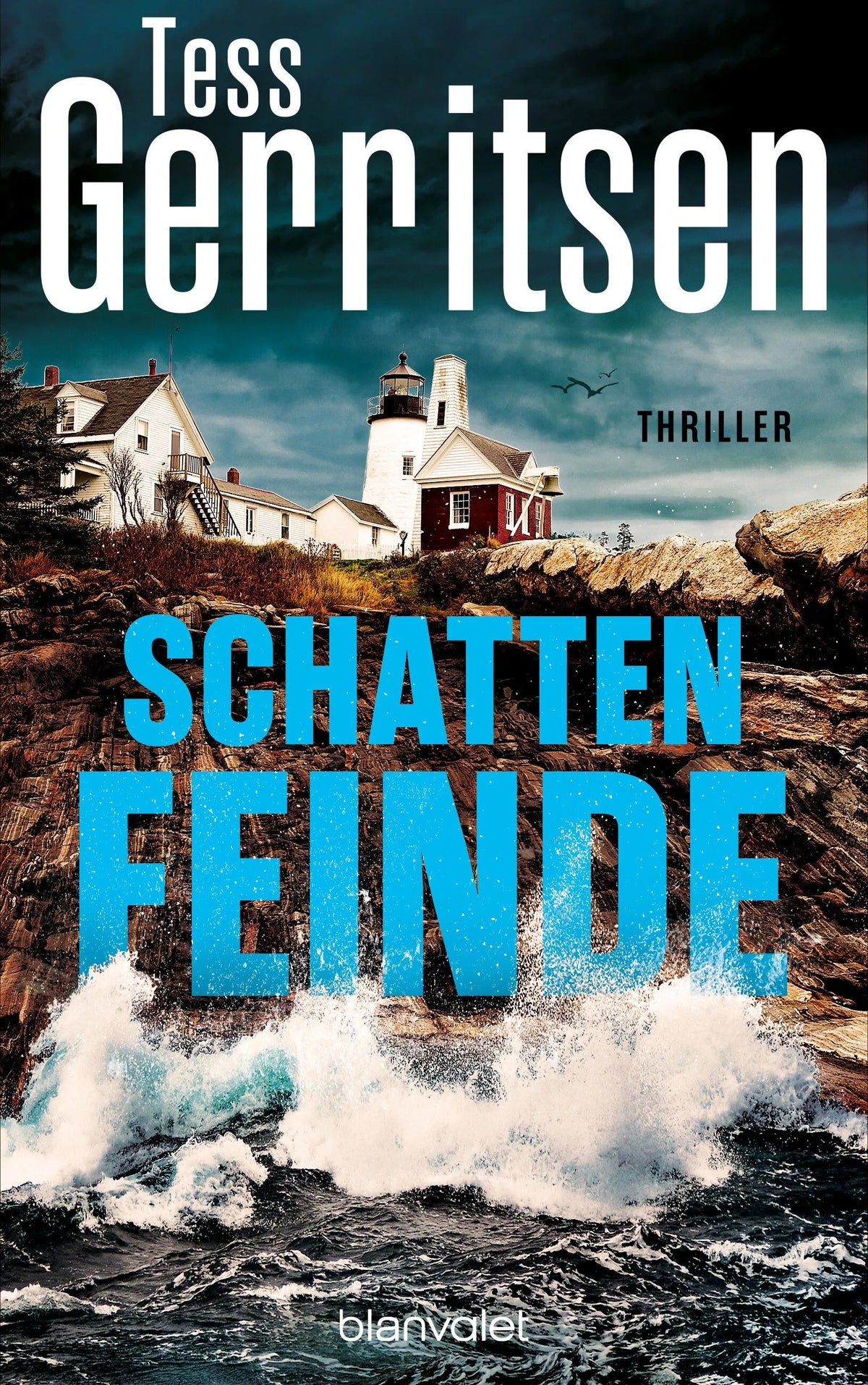 Cover: Schattenfeinde (Hardcover) von Tess Gerritsen