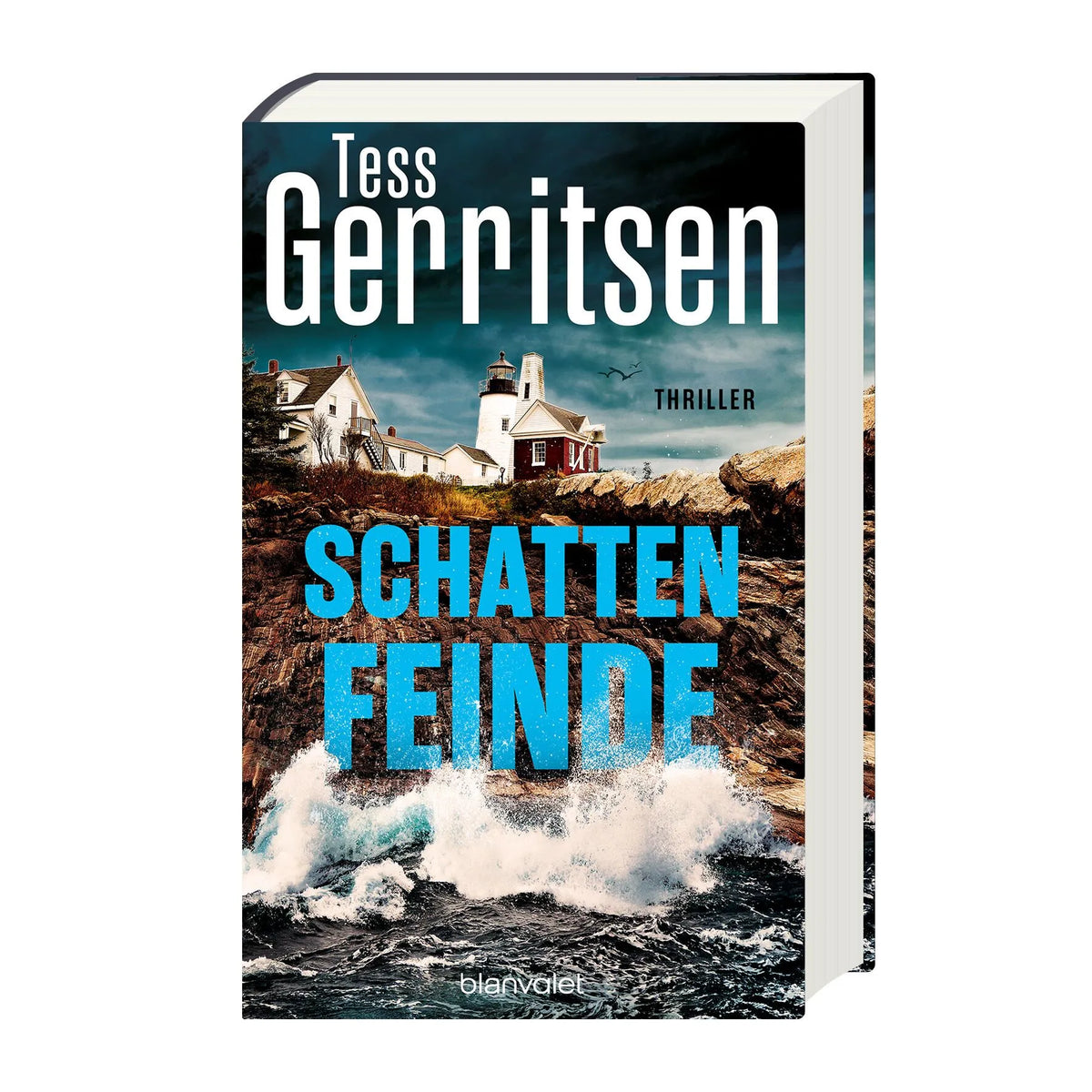 Detailansicht: Schattenfeinde (Hardcover)