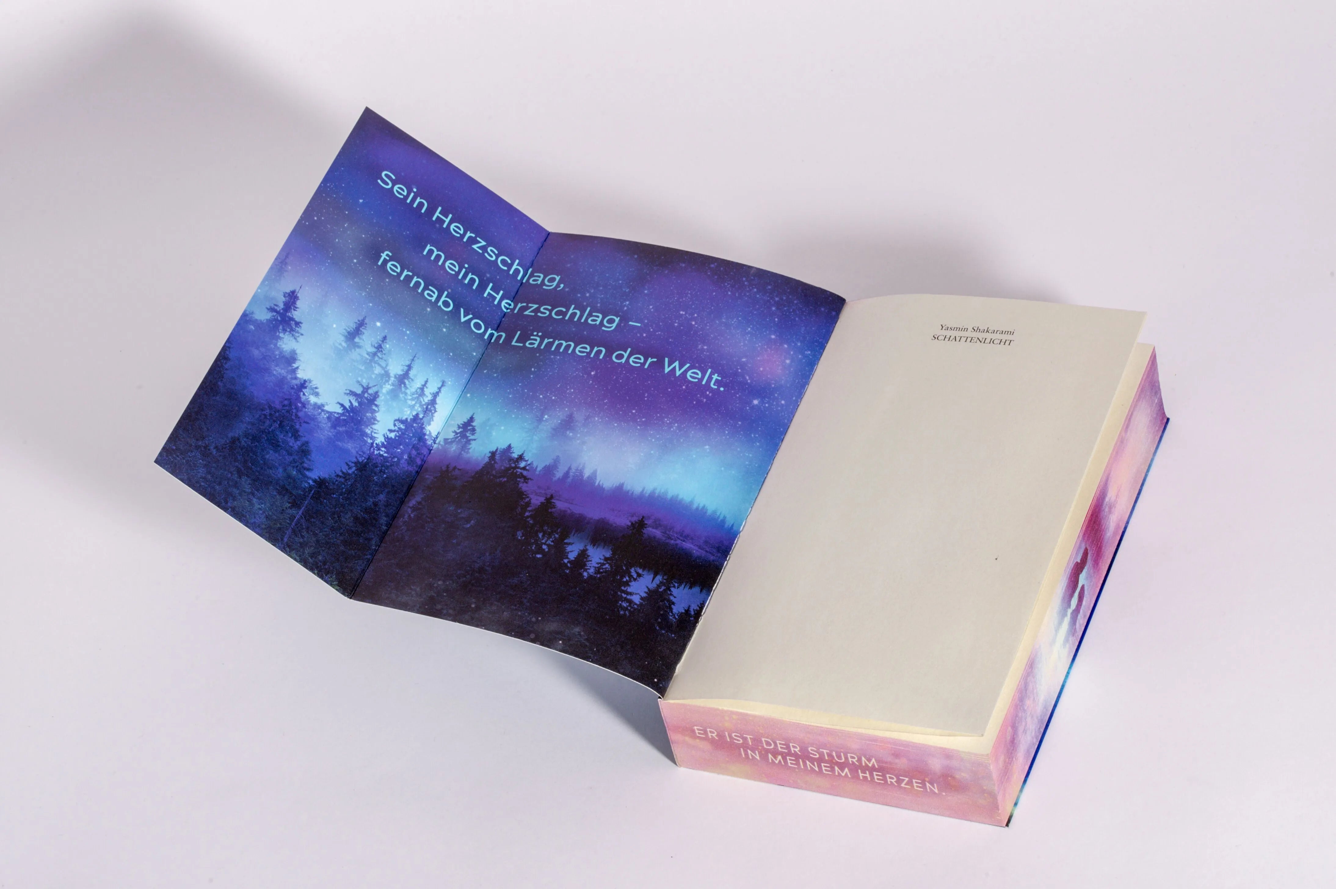 Detailansicht: Schattenlicht (Paperback)