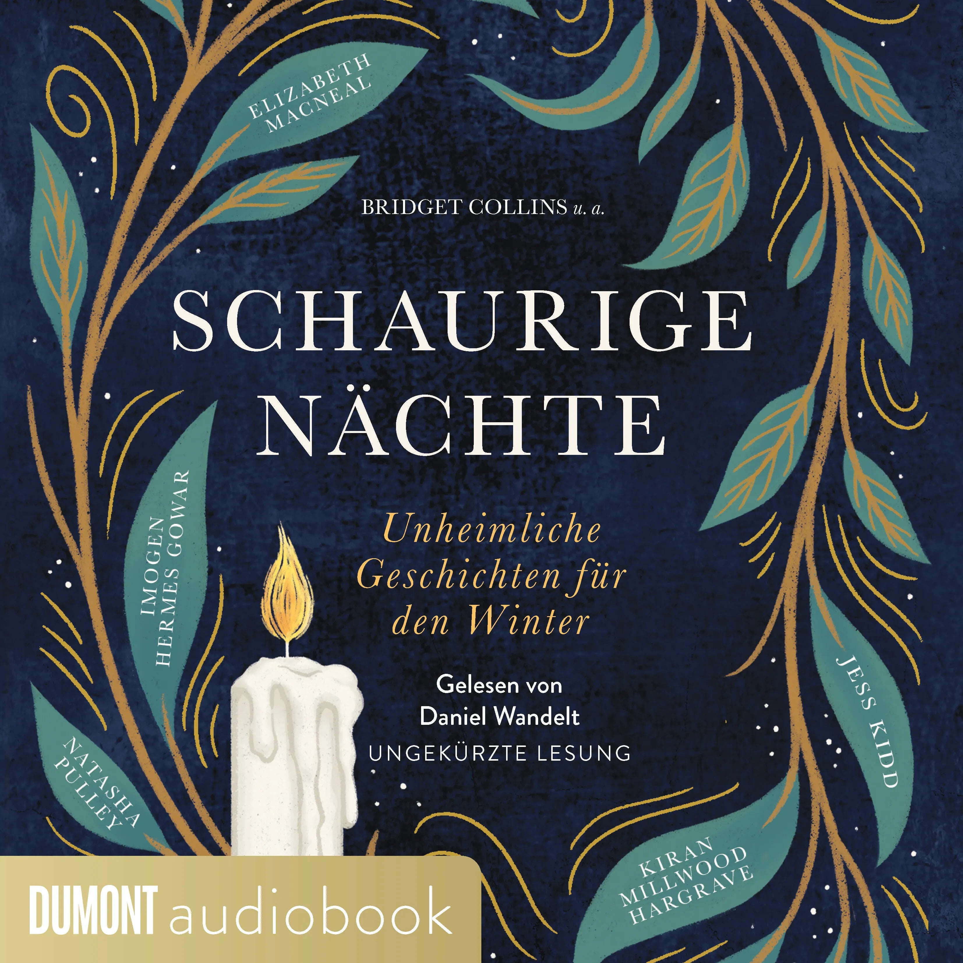 Cover: Schaurige Nächte (Hörbuch Download) von Bridget Collins