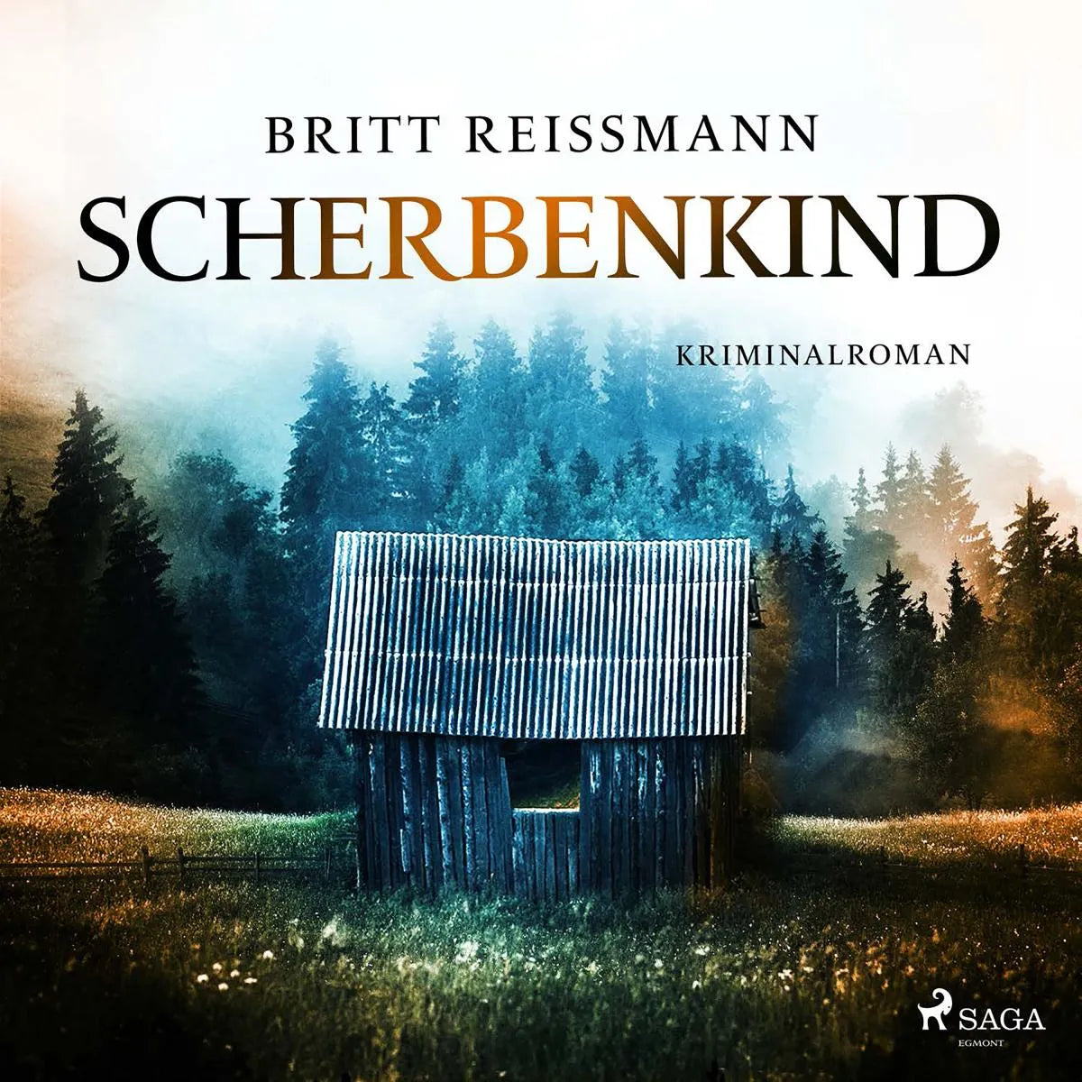 Cover: Scherbenkind (Hörbuch Download) von Britt Reißmann
