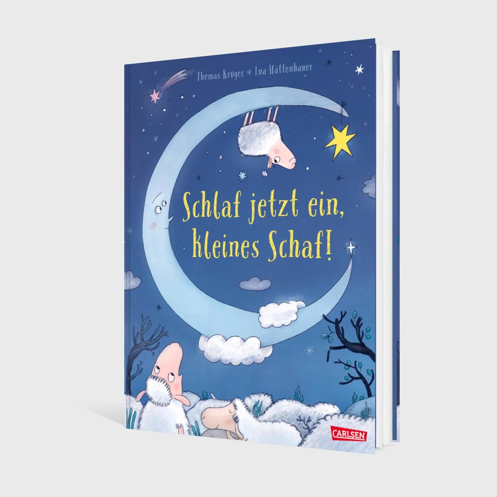 Produktansicht: Schlaf jetzt ein, kleines Schaf! (Gebundene Ausgabe)
