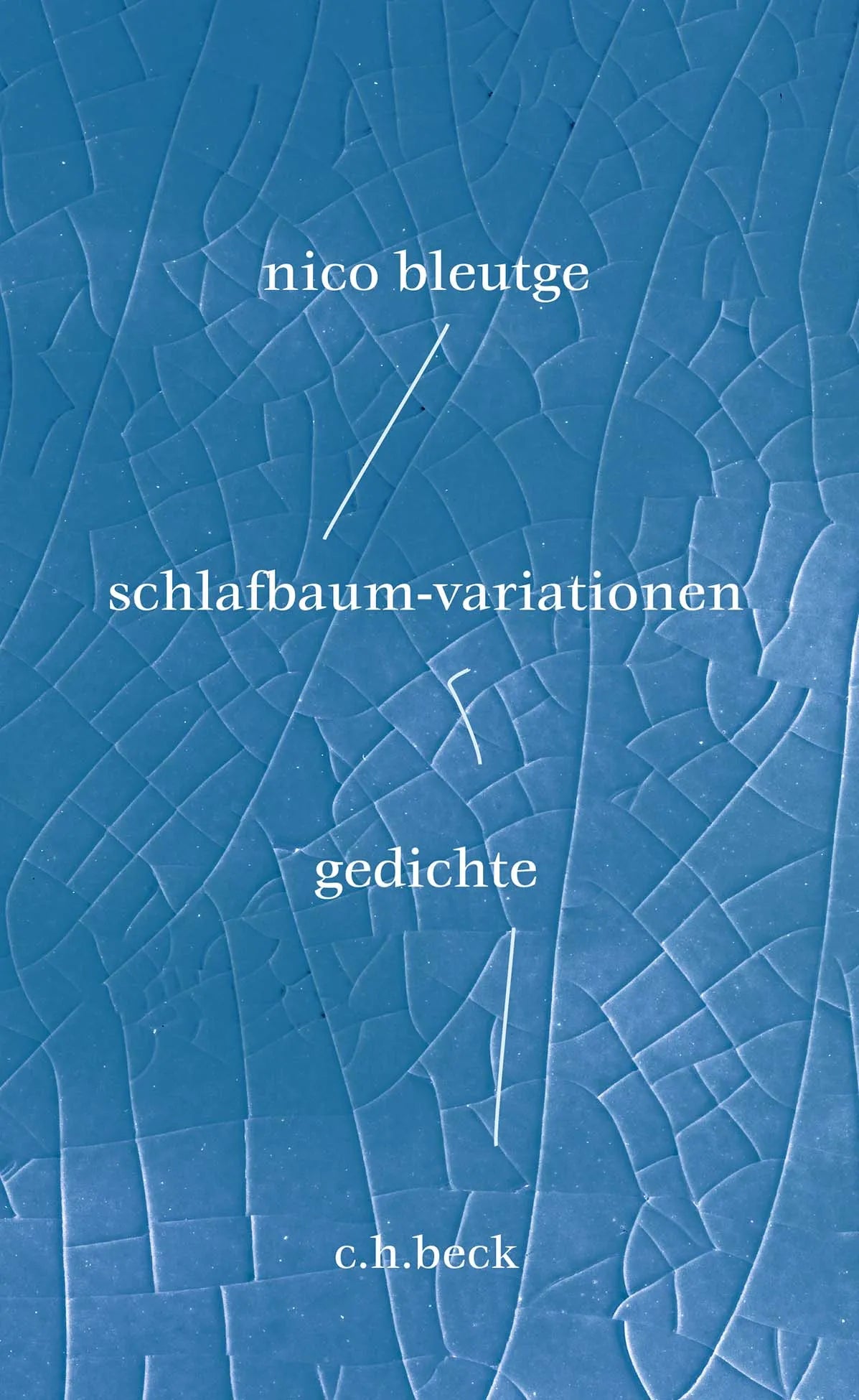 Buchcover von 'schlafbaum-variationen' - Gebundene Ausgabe von Nico Bleutge