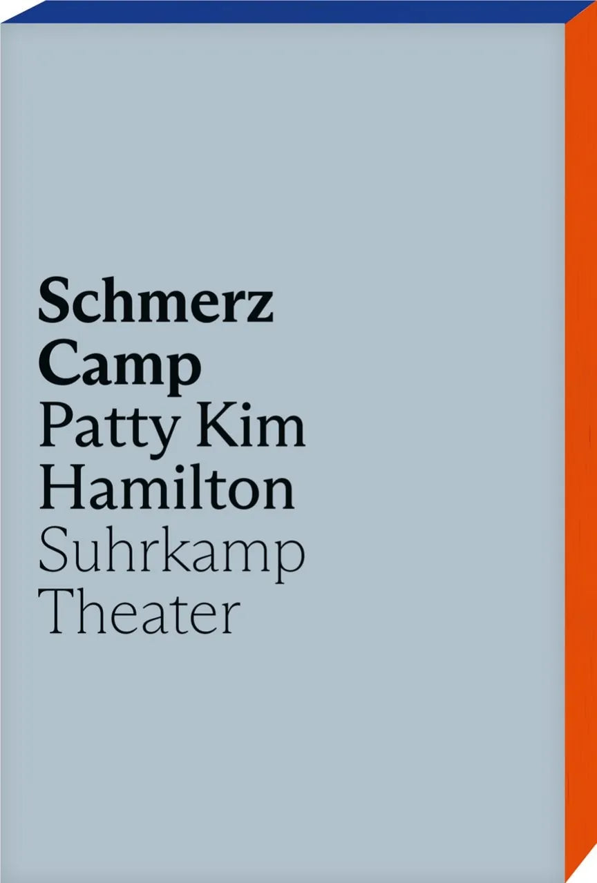 Buchcover von 'Schmerz Camp' - Taschenbuch von Patty Kim Hamilton