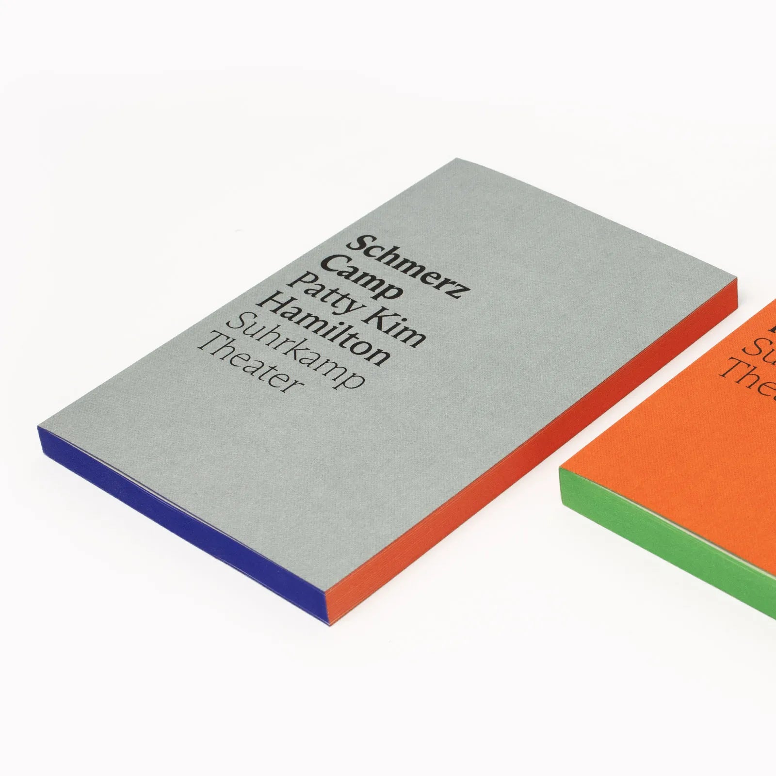 Produktansicht: Schmerz Camp (Taschenbuch)