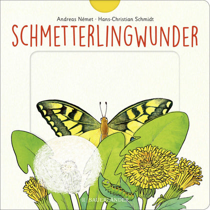 Buchcover von 'Schmetterlingwunder' - Gebundene Ausgabe von Hans-Christian Schmidt