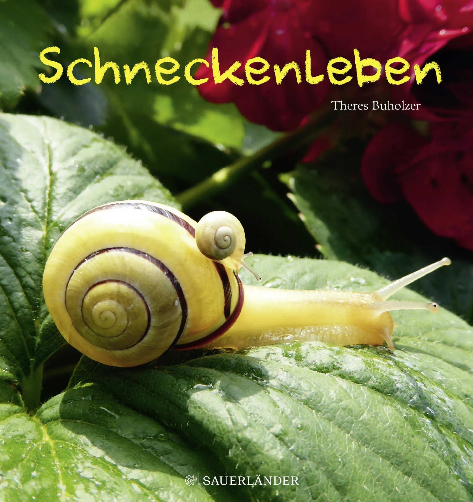 Buchcover von 'Schneckenleben' - Gebundene Ausgabe von Theres Buholzer