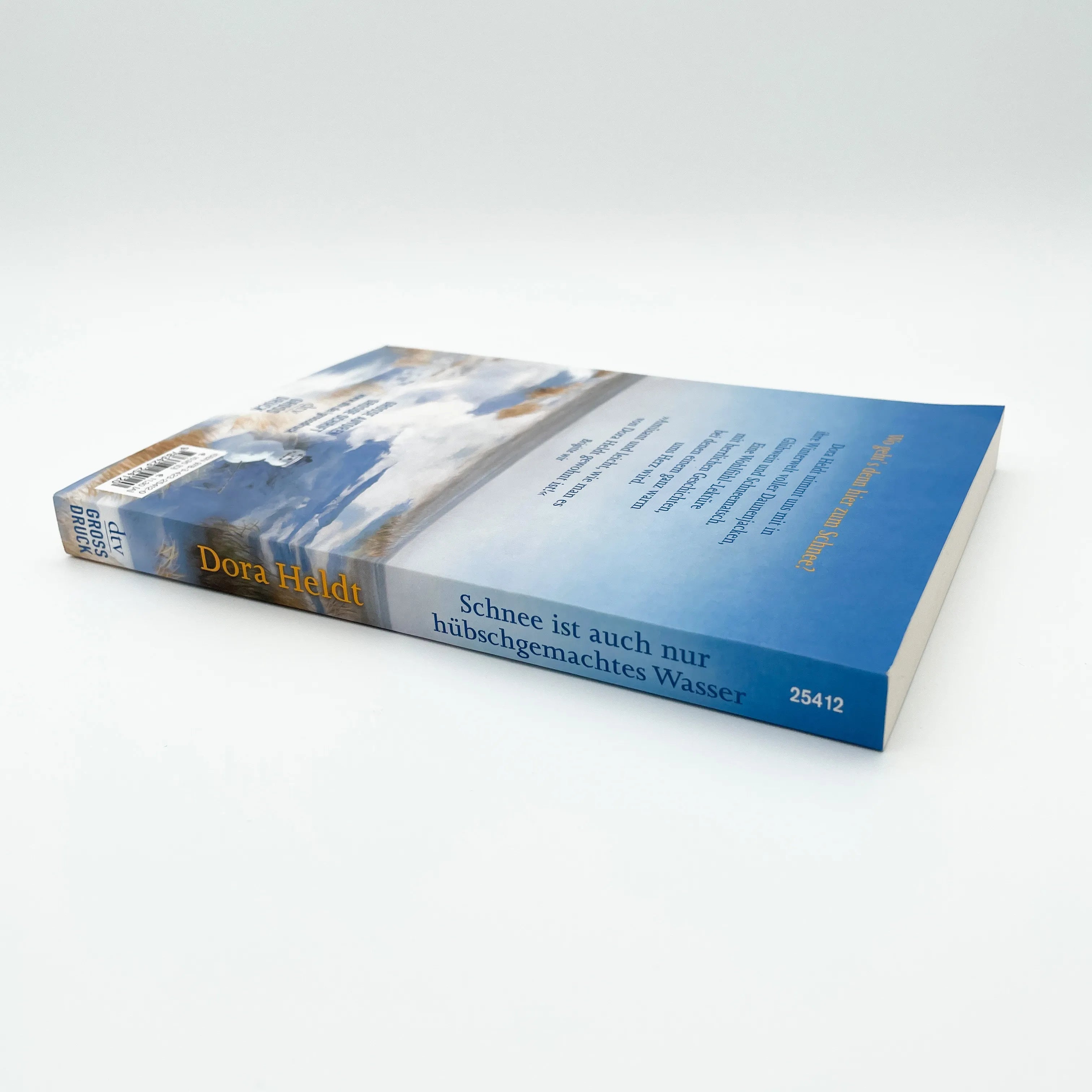 Detailansicht: Schnee ist auch nur hübschgemachtes Wasser (Taschenbuch)