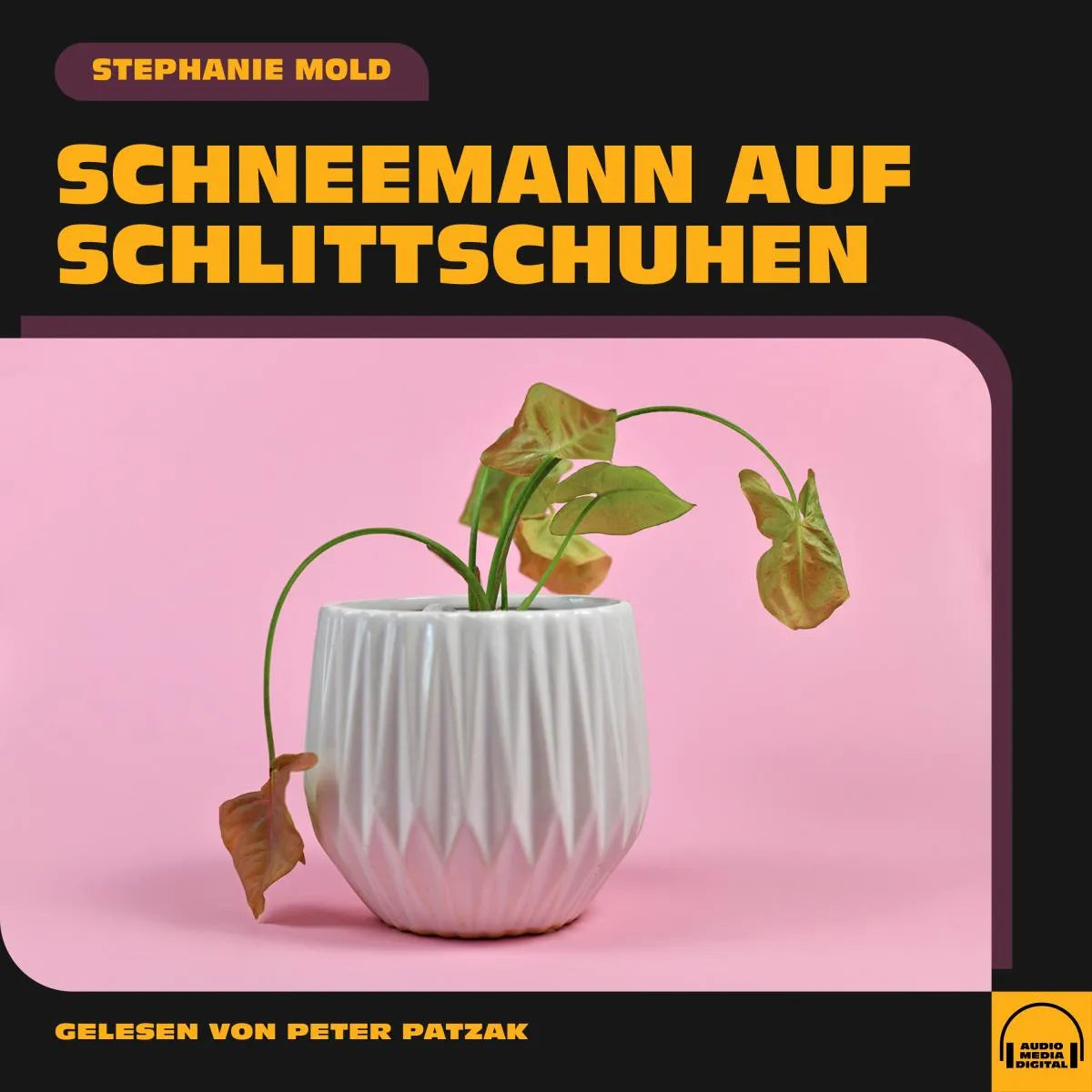 Cover: Schneemann auf Schlittschuhen (Hörbuch Download) von Stephanie Mold