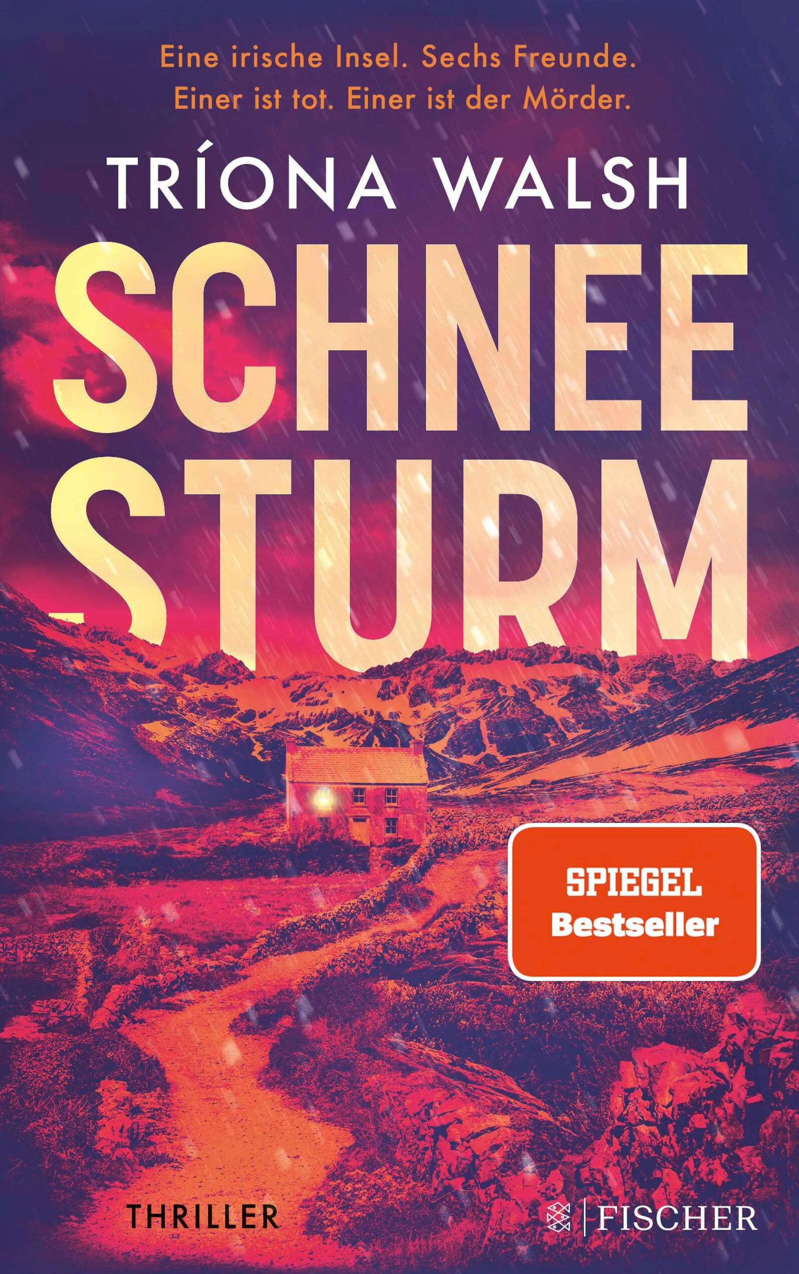 Cover: Schneesturm (E-Book) von Tríona Walsh