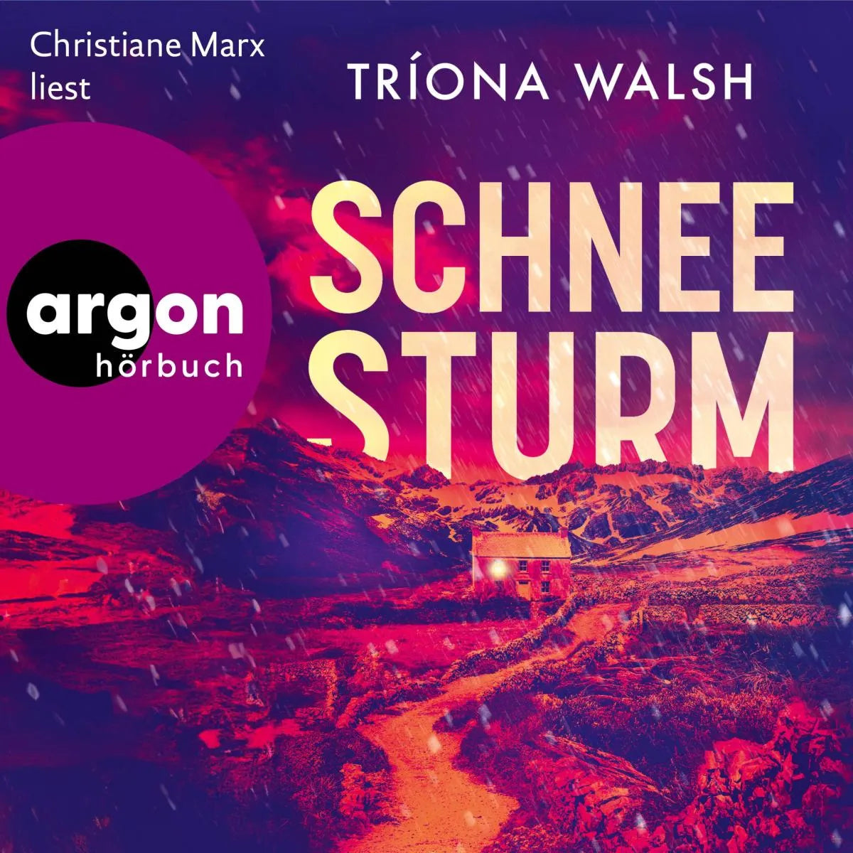 Cover: Schneesturm (Hörbuch Download) von Tríona Walsh