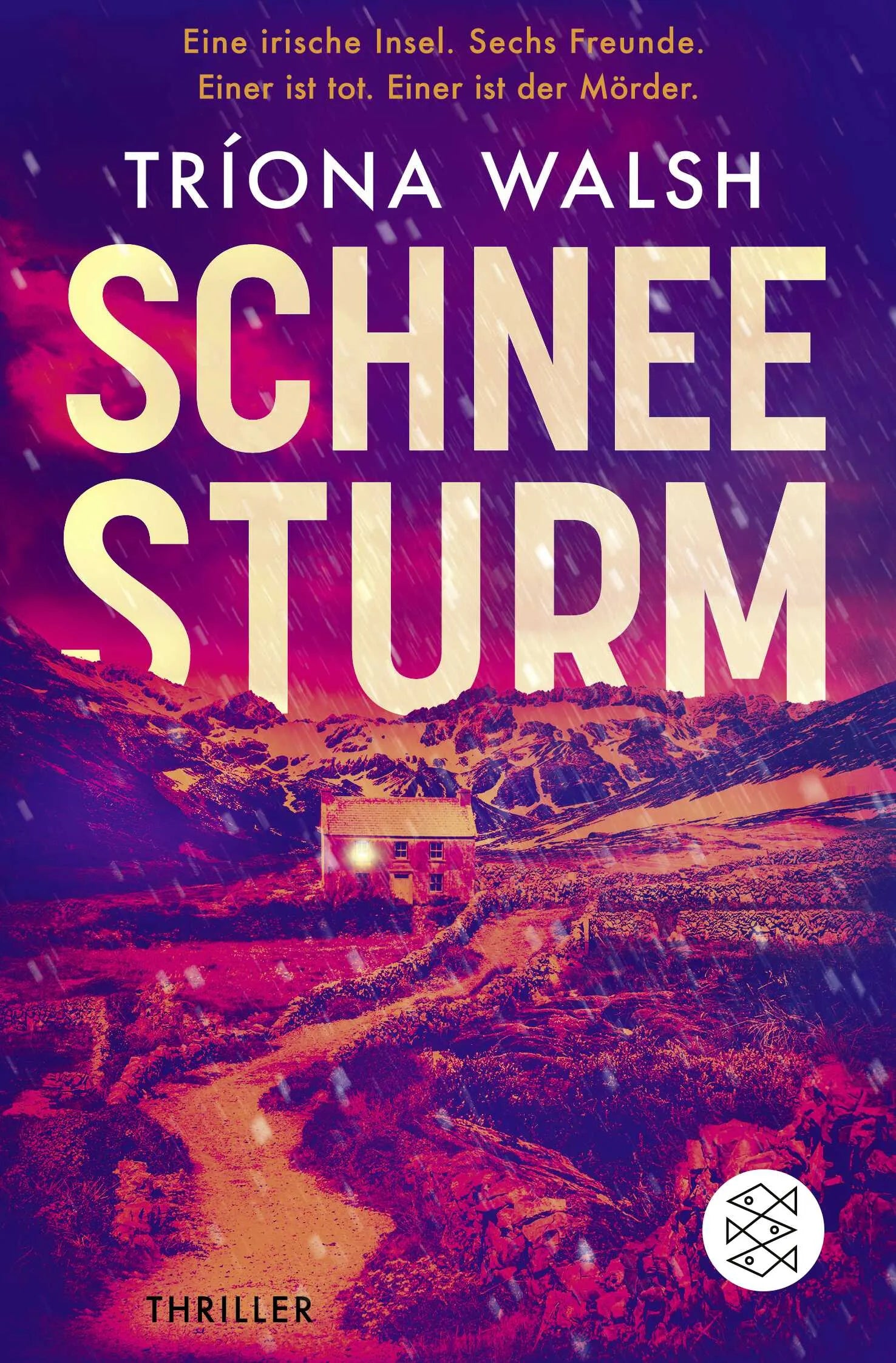 Buchcover von 'Schneesturm' - Taschenbuch von Tríona Walsh