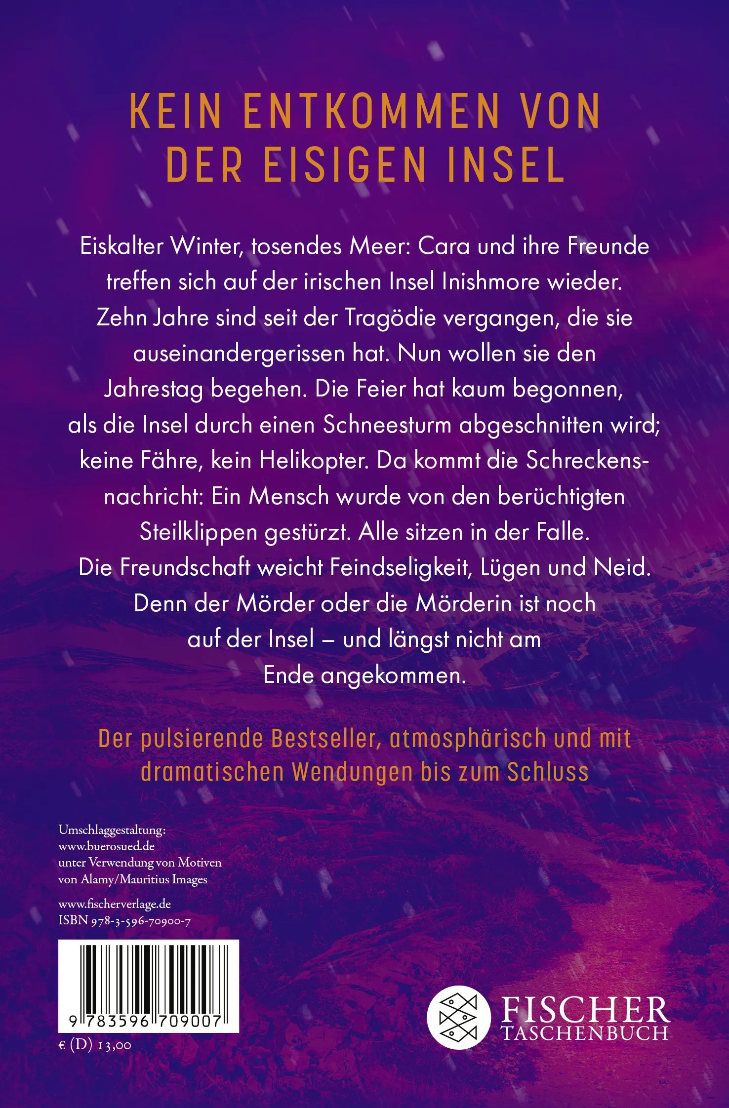 Buchrückseite von 'Schneesturm' mit Klappentext - Taschenbuch