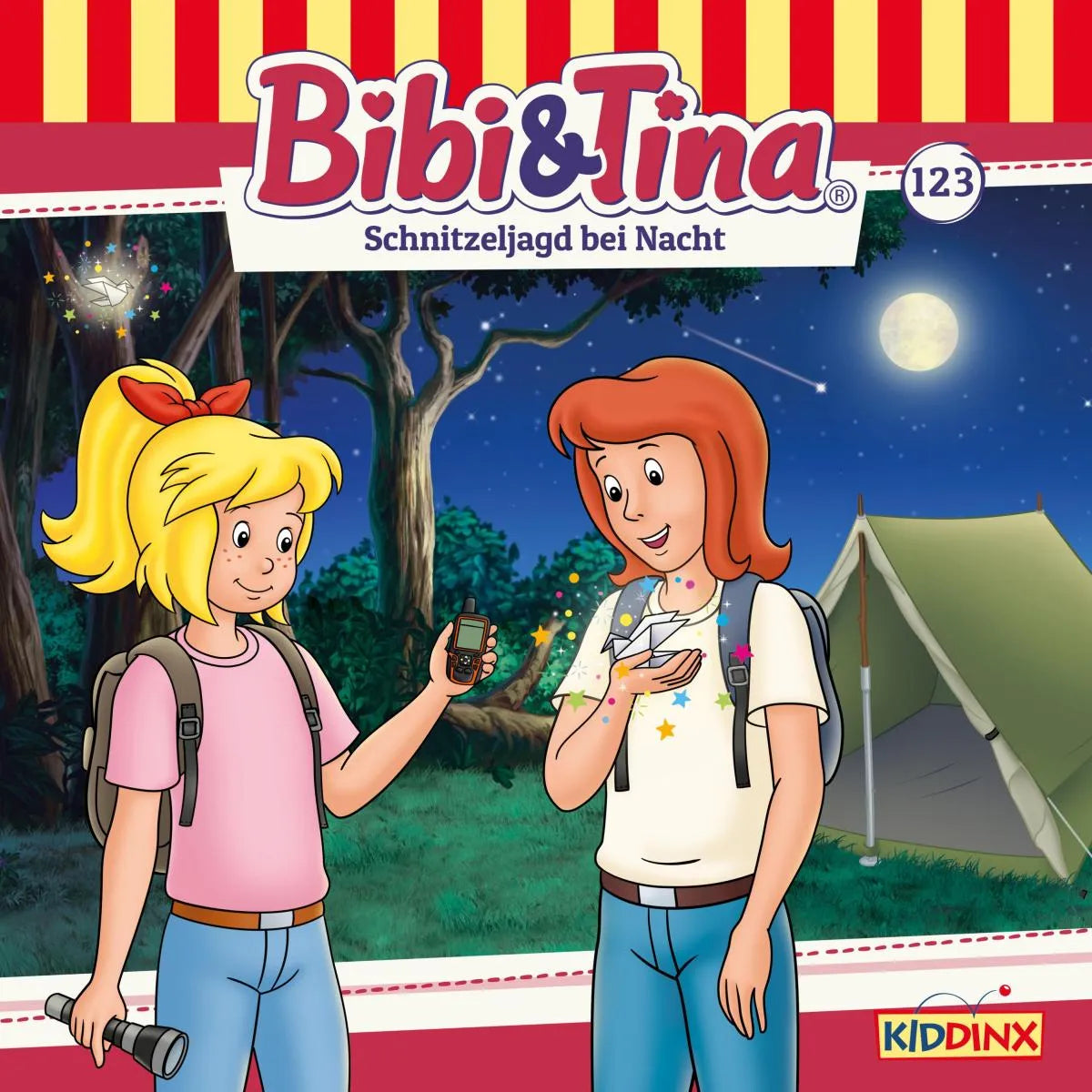 Cover: Schnitzeljagd bei Nacht (Hörbuch Download) von Anna Haslehner