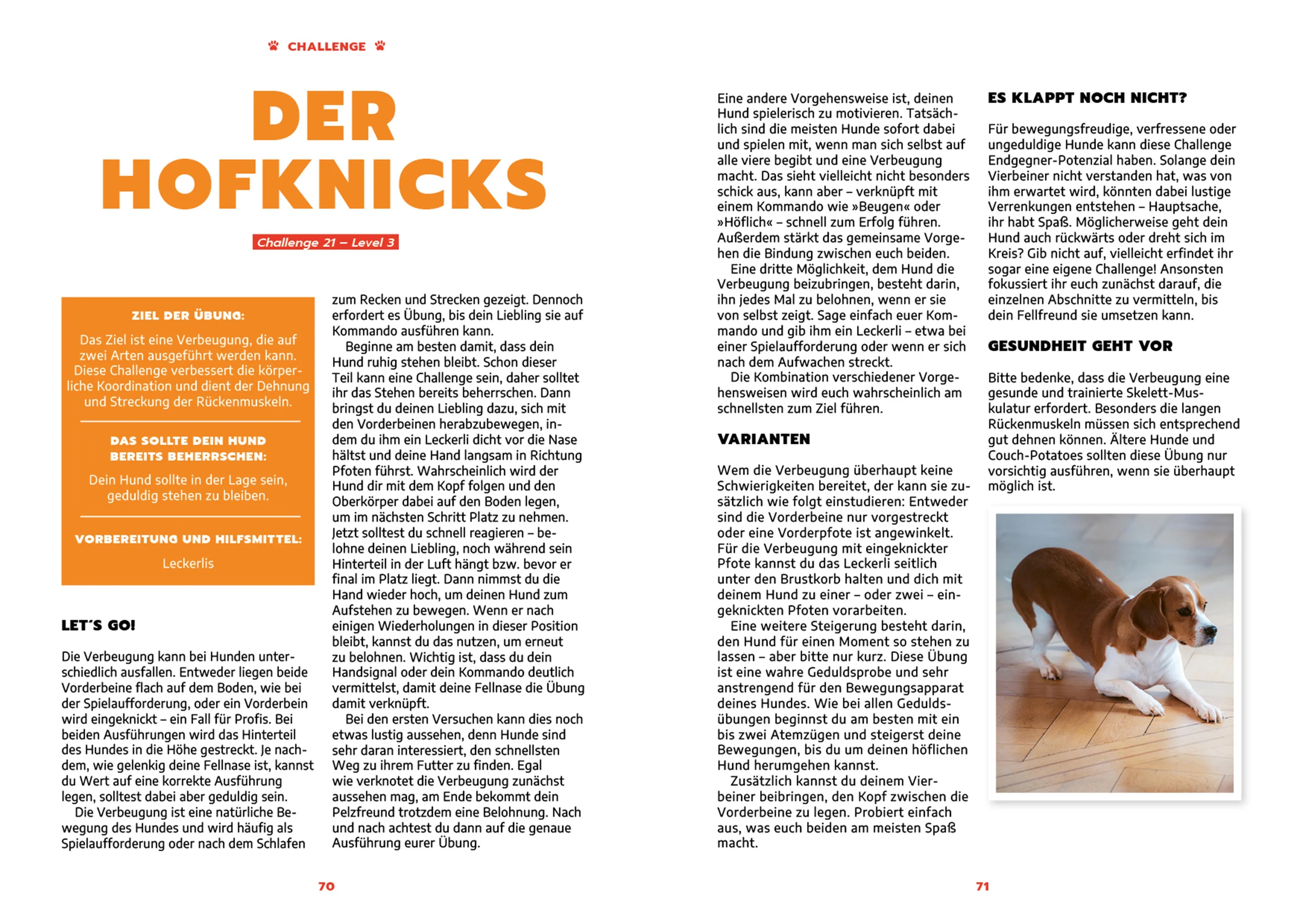 Produktansicht: Schnüffeln, Schnappen, Staunen (Gebundene Ausgabe)