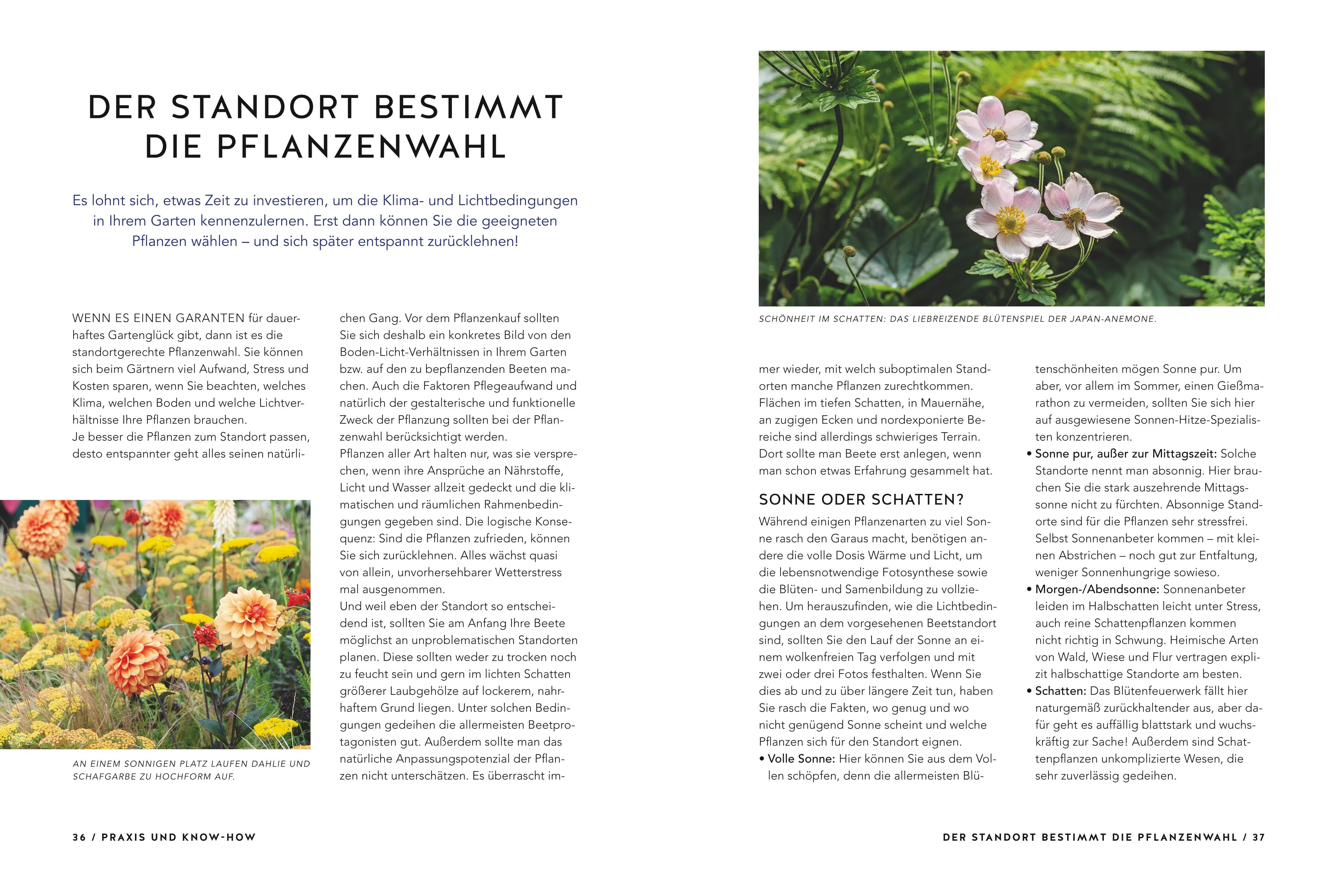 Produktansicht: Schöne Beete für Faule (Paperback)