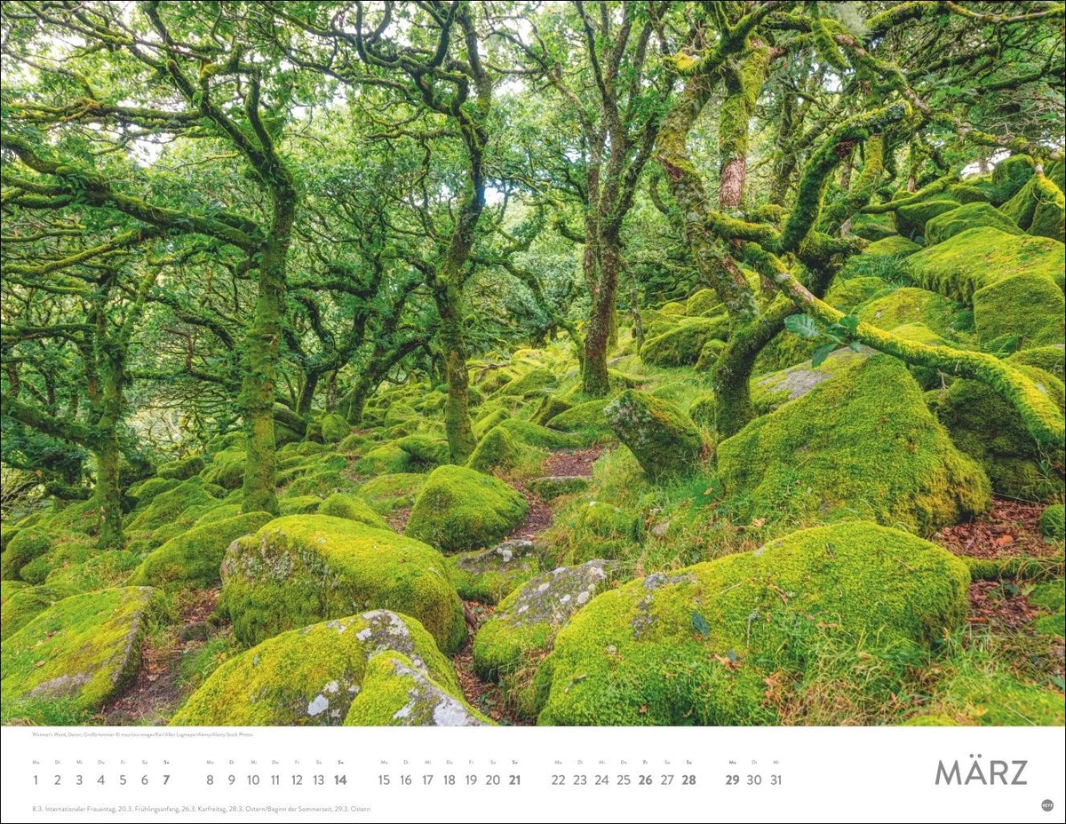 Schönheit des Waldes Posterkalender 2027 – Ansicht