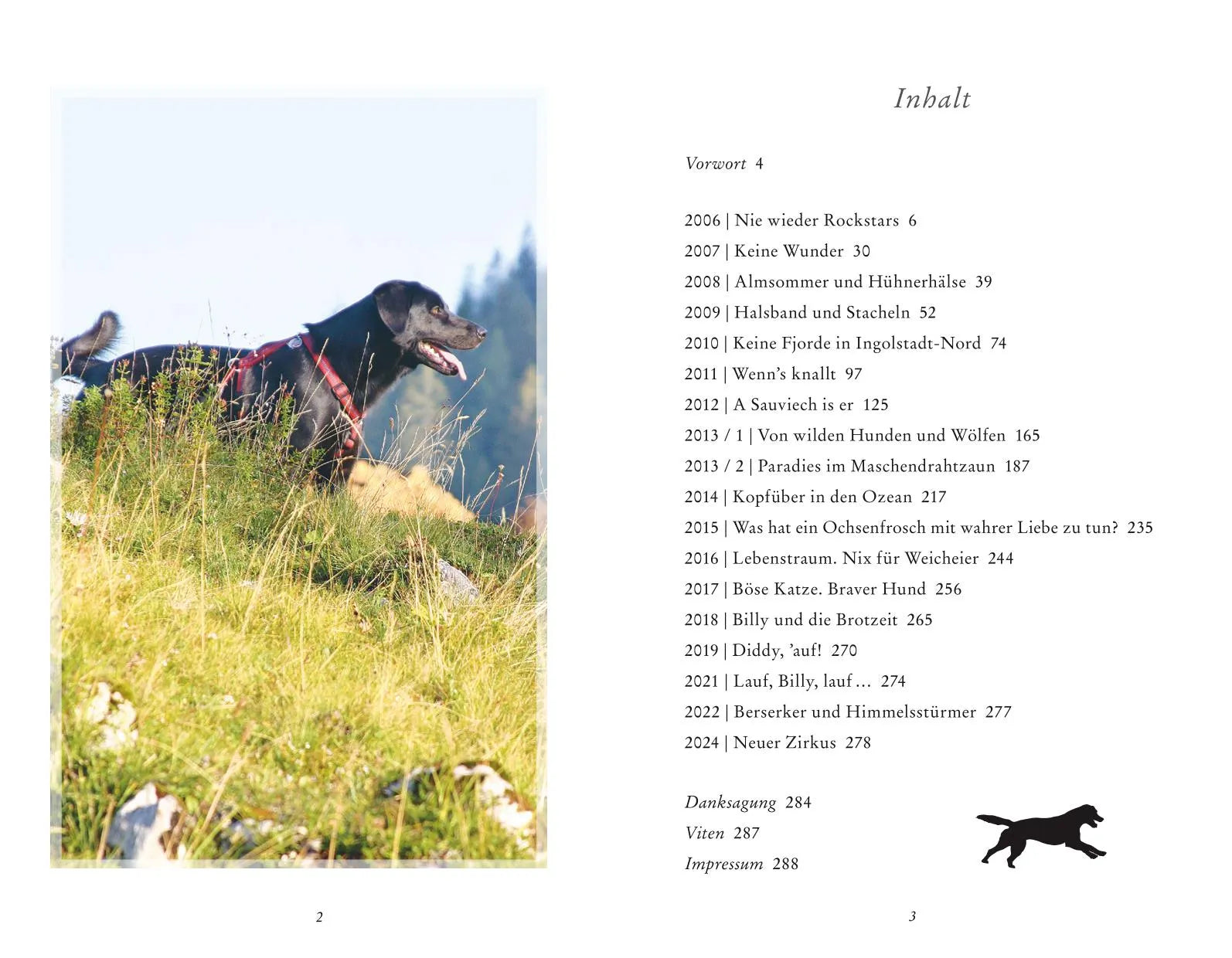 Innenansicht von 'Schon wieder abgehauen' - Taschenbuch